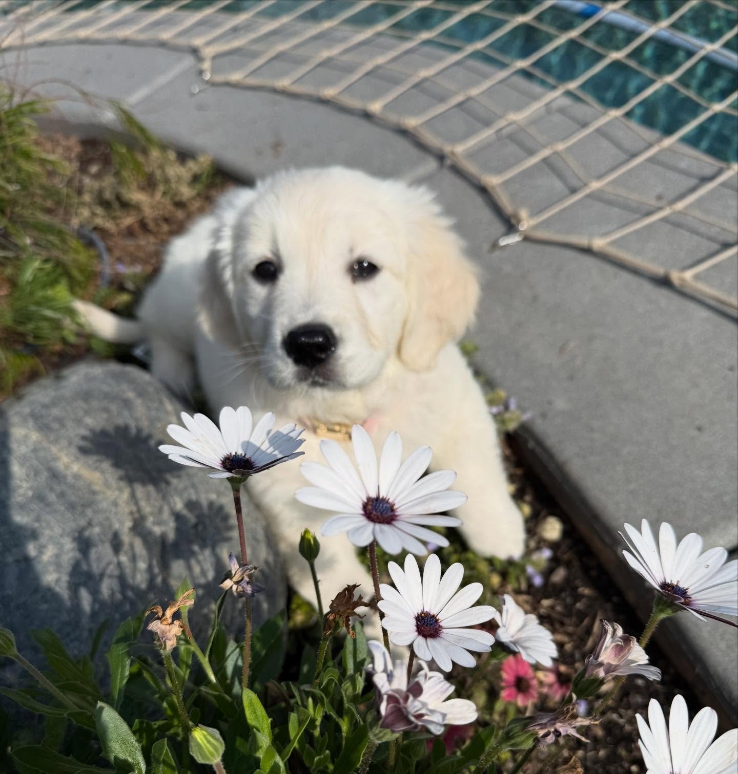 River 💓 aka Miss pink 💕