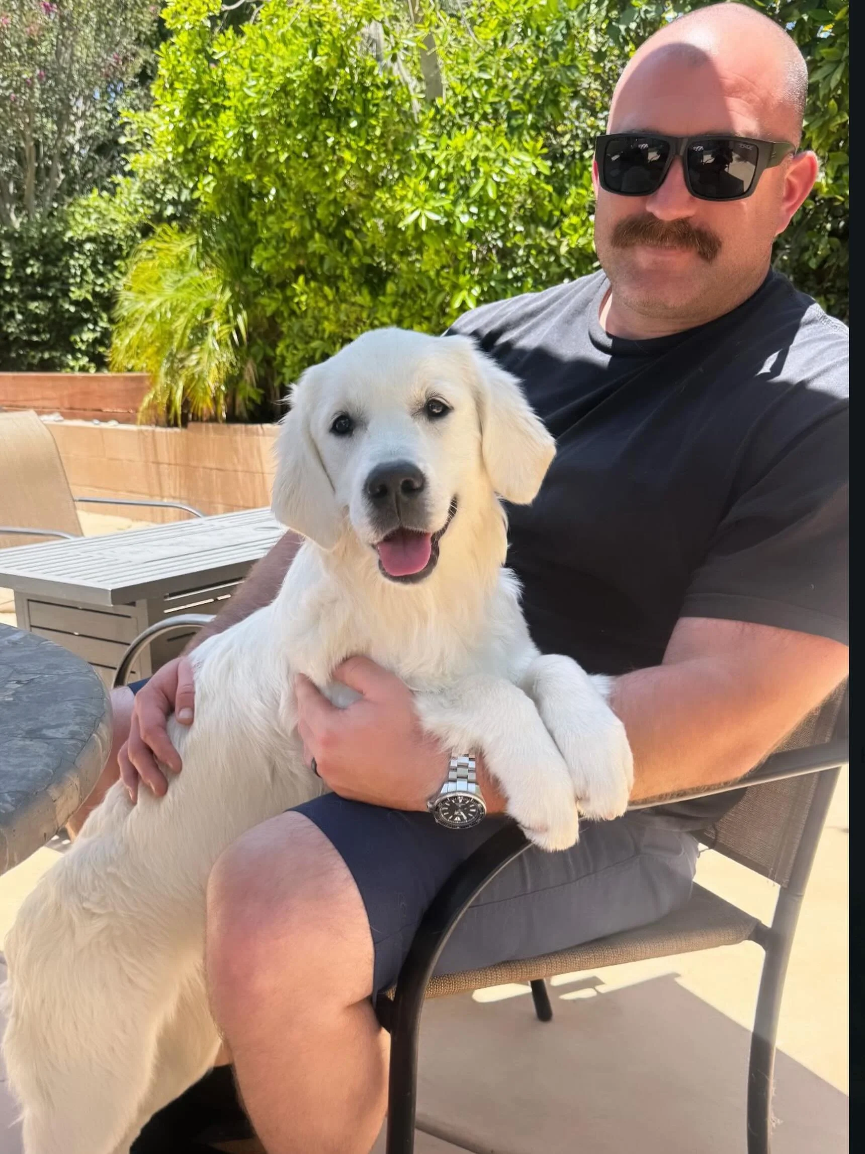 Miss Luna is getting big! She has been such a wonderful addition to our family! 🥰 🐕