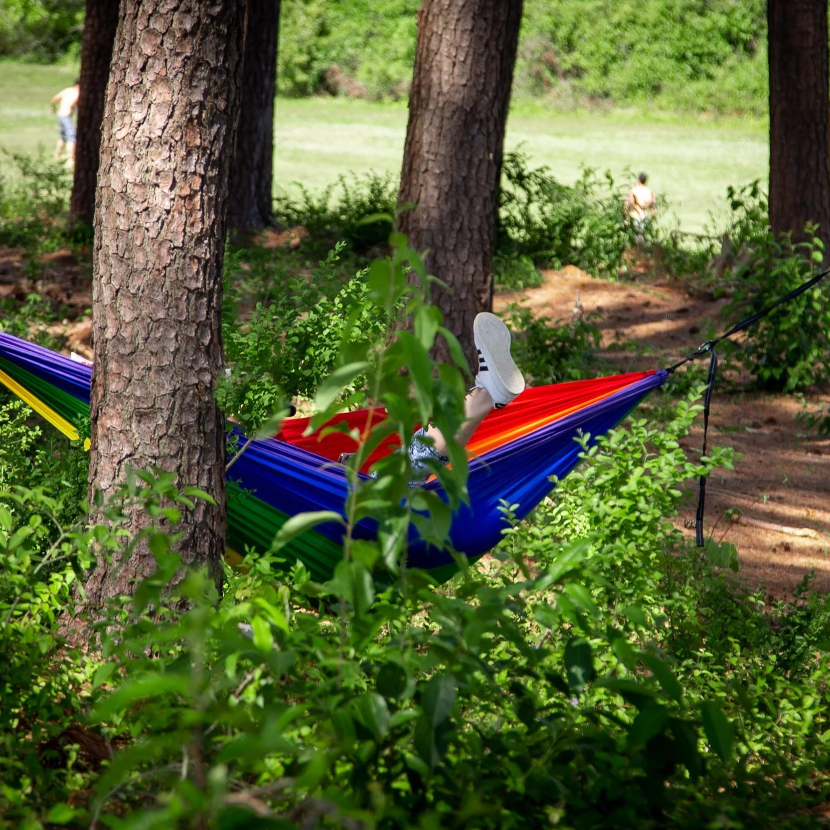 Dix Park: A Place for Vitamin N