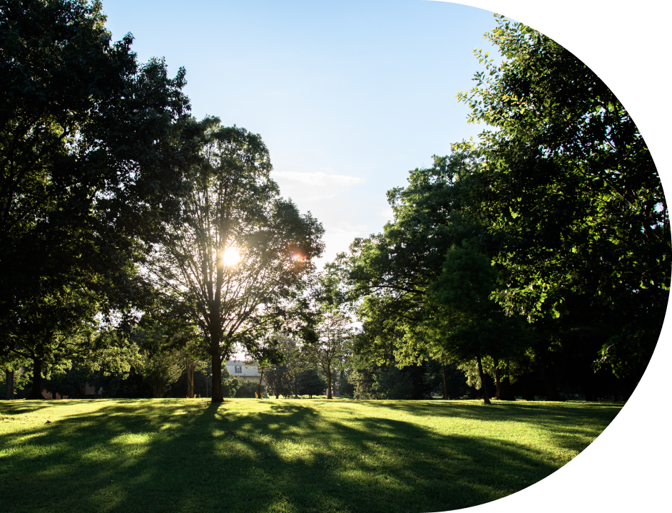 Rectangle 2 Copy 4.png