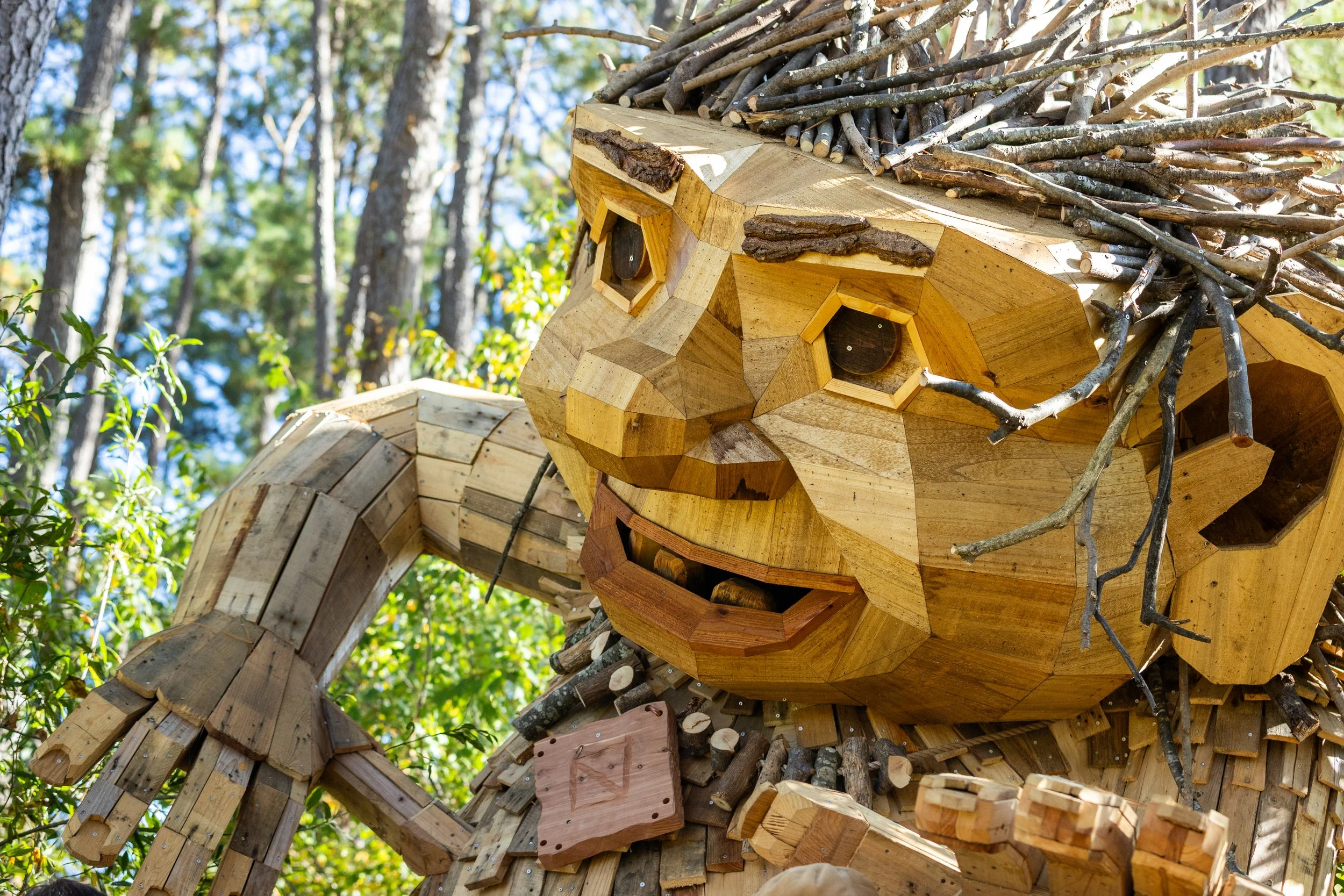 Oct25_Thomas Dambo Trolls 00224.jpg