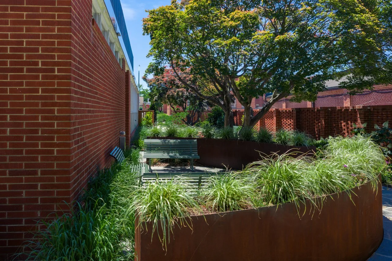 2026 Healing Garden 00017.JPG