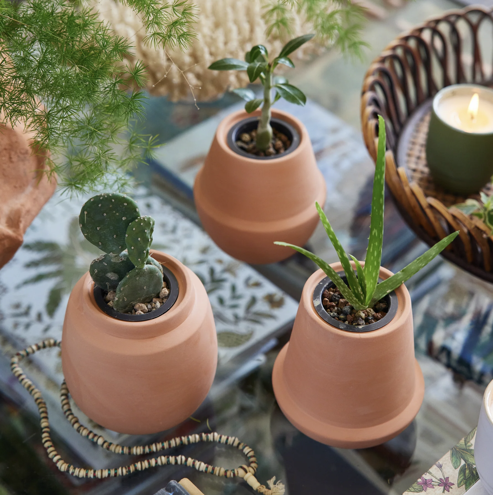 PLACE - Modern Sprout® Modern Terracotta Grow Kit Aloe