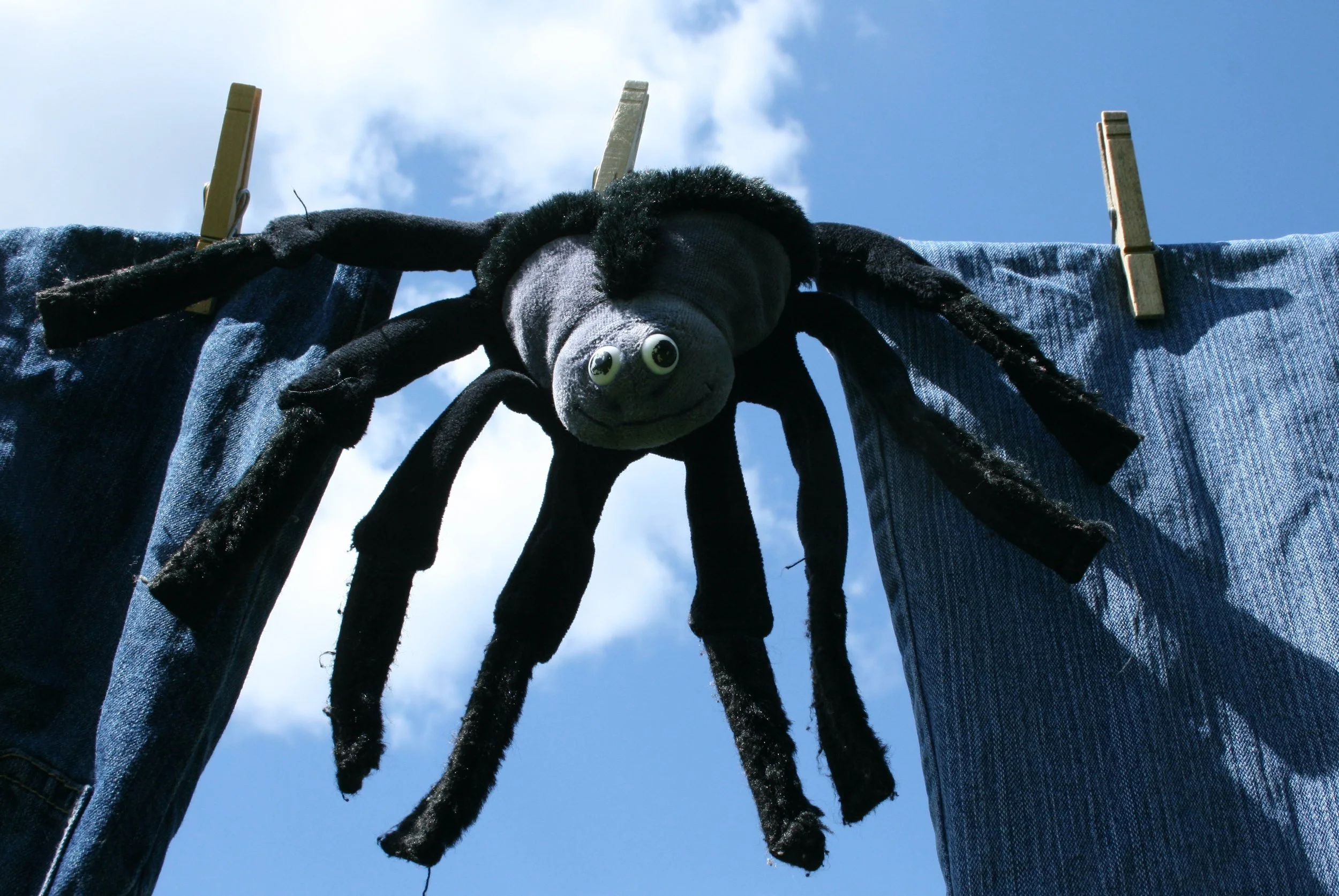 What Are You Afraid of?