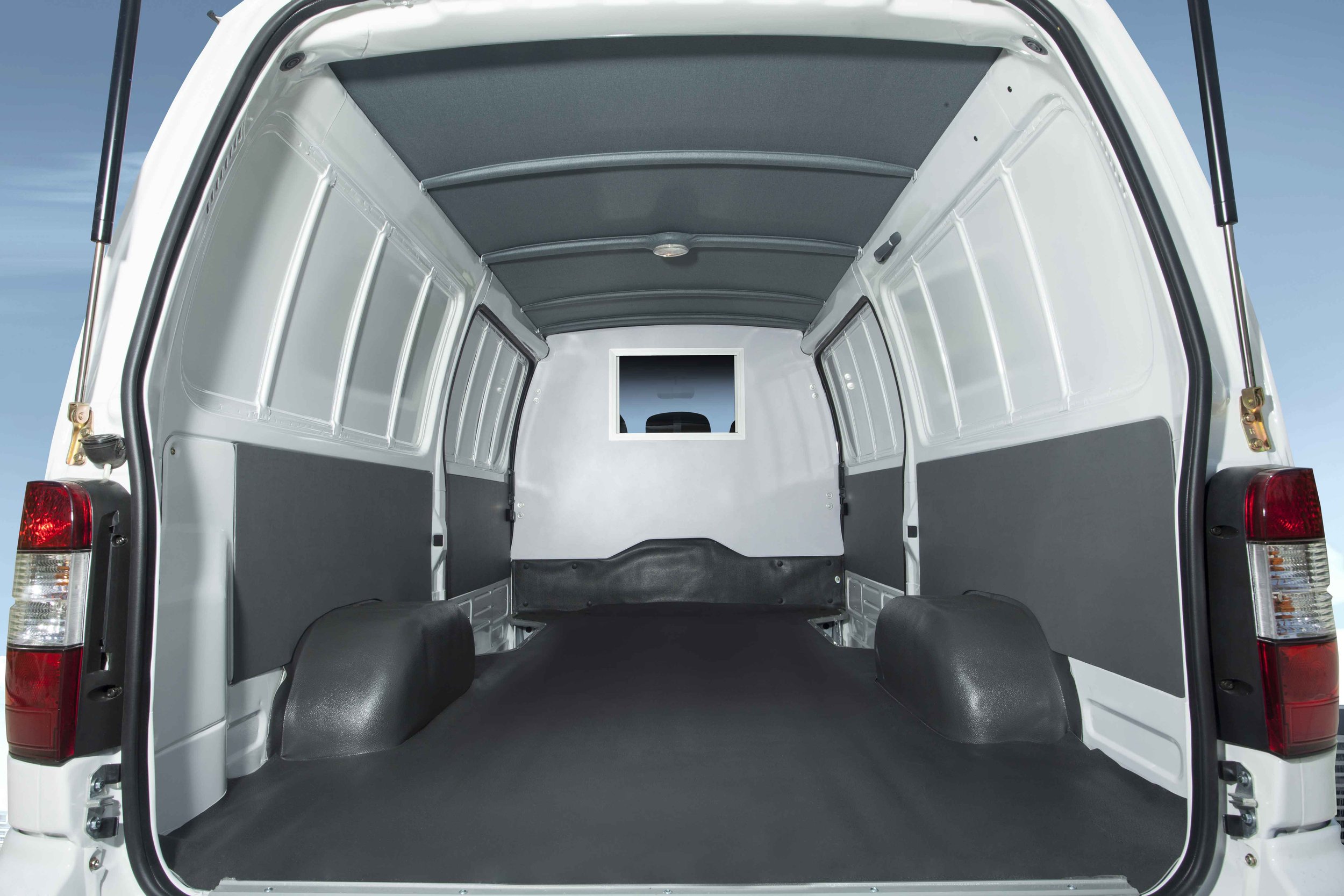 Cargo-flat-roof,-rear-door-open.jpg