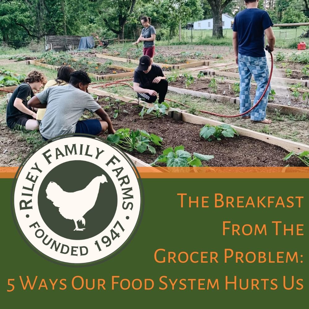 The Breakfast From The Grocer Problem: 5 Ways Our Food System Hurts Us