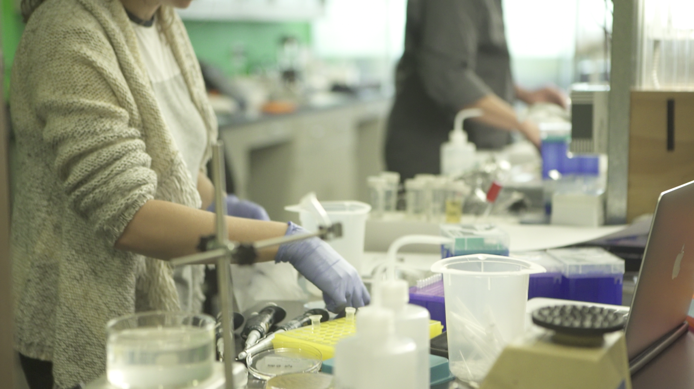 Screen Shot 2016-03-23 at 7.39.31 AM.png