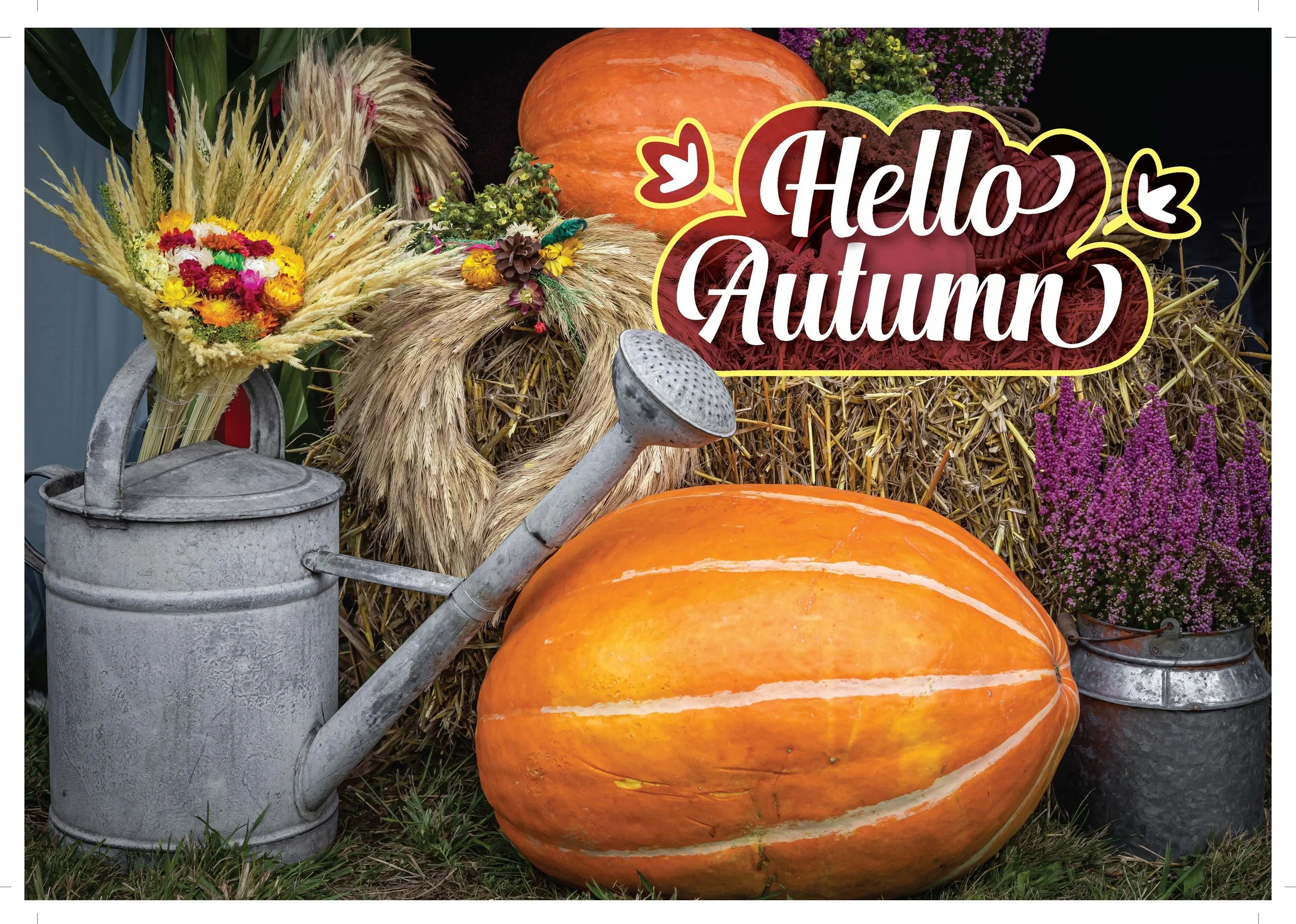 Fall-Winter 2025 Merch Poster_Page_02.jpg