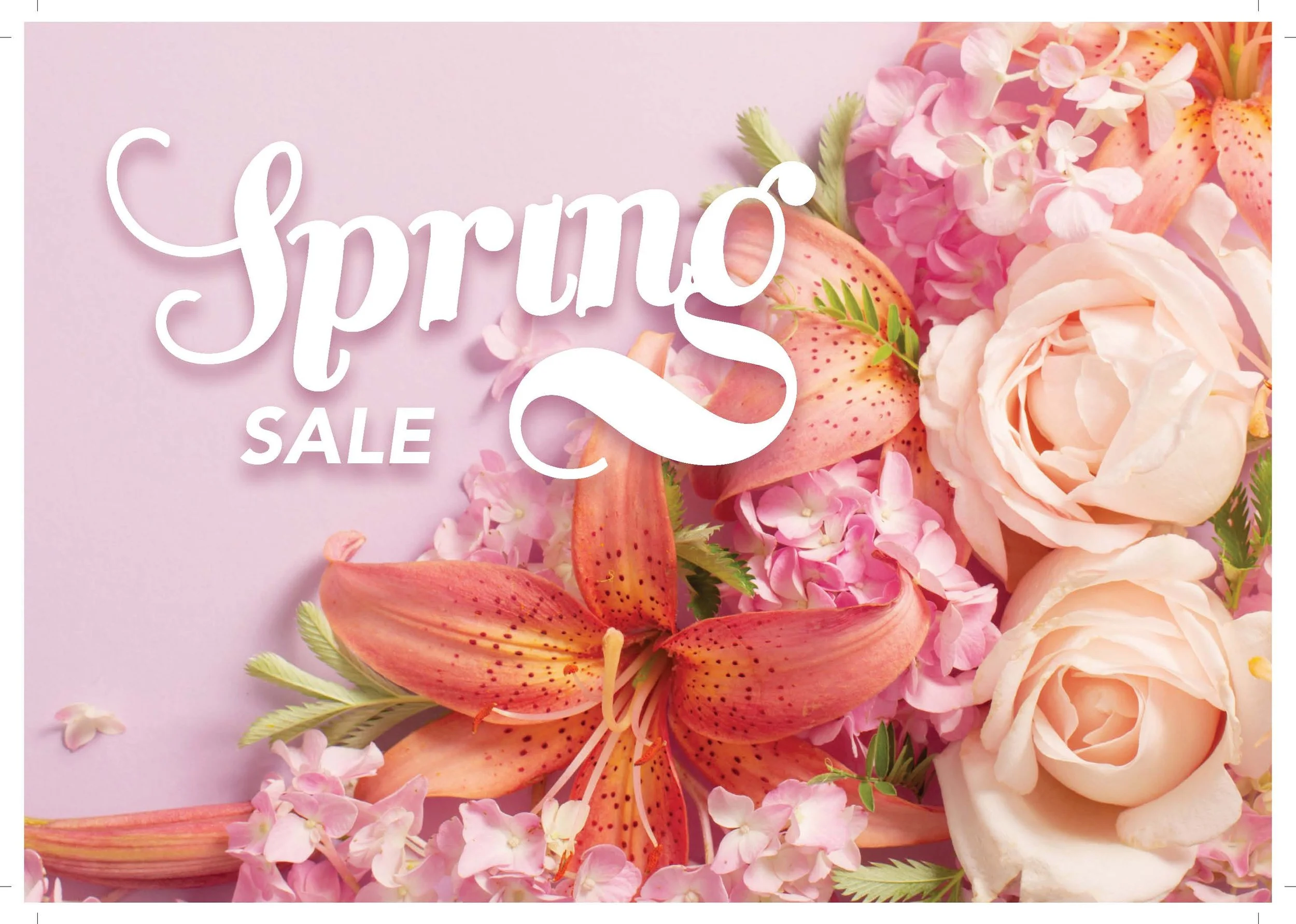 Spring-Summer 2026 Merch Poster_Springcat.jpg