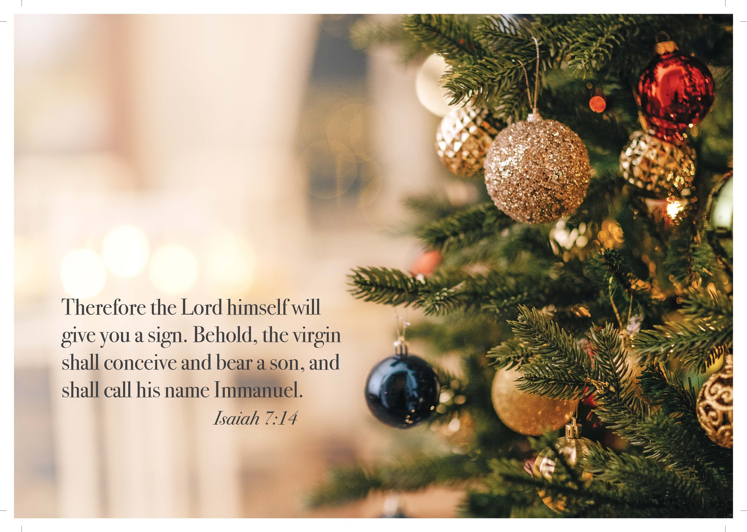 Fall-Winter 2025 Merch Poster_Page_12.jpg