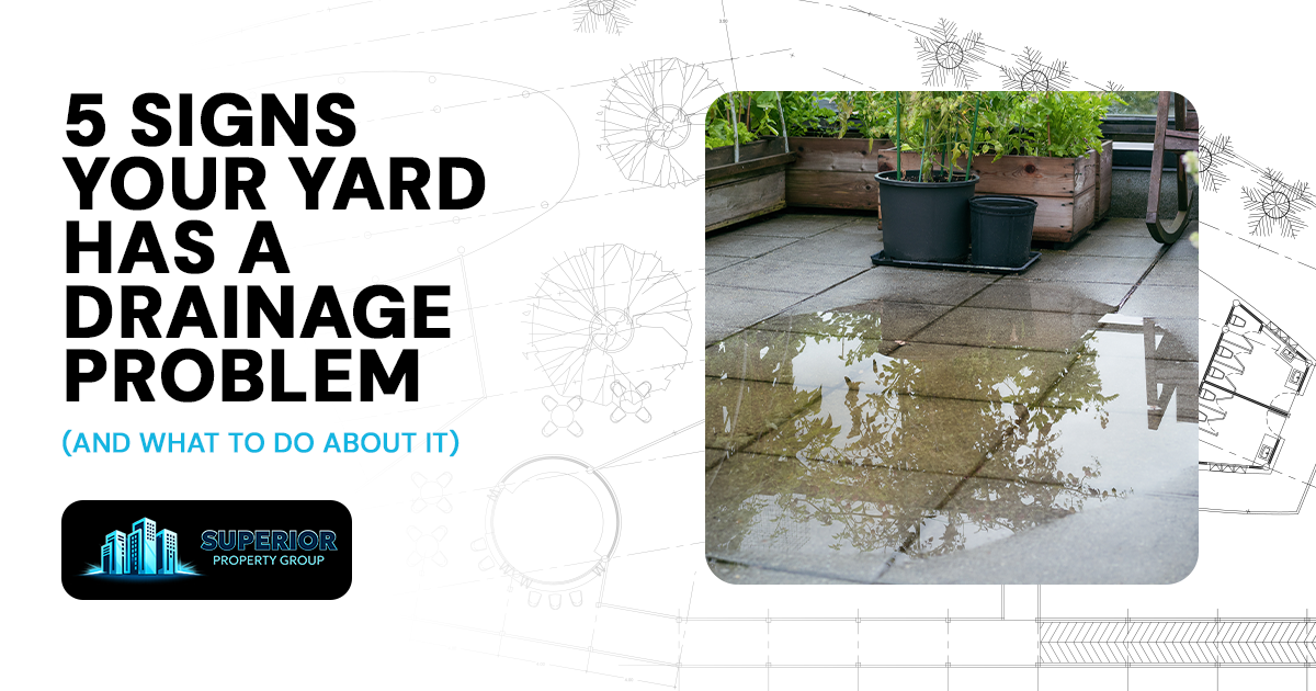 5 Warning Signs Your Yard Has a Drainage Problem