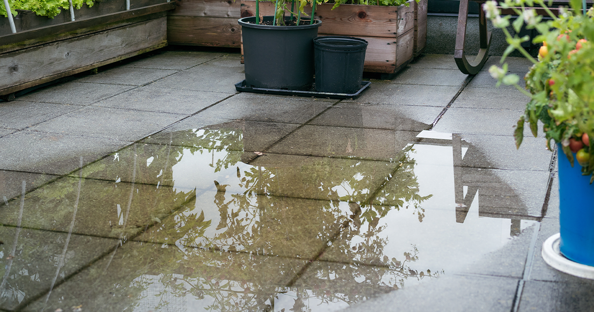 5 Warning Signs Your Yard Has a Drainage Problem