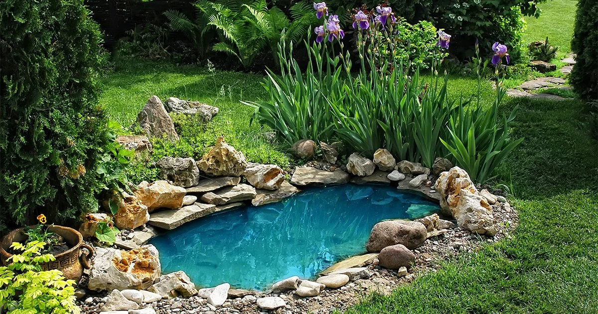The Real Cost of a Backyard Pond in Ontario (And Why It's Worth It)