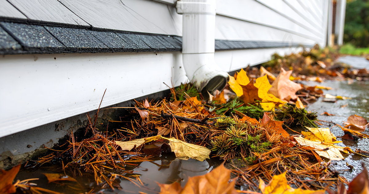 fall yard drainage Ontario