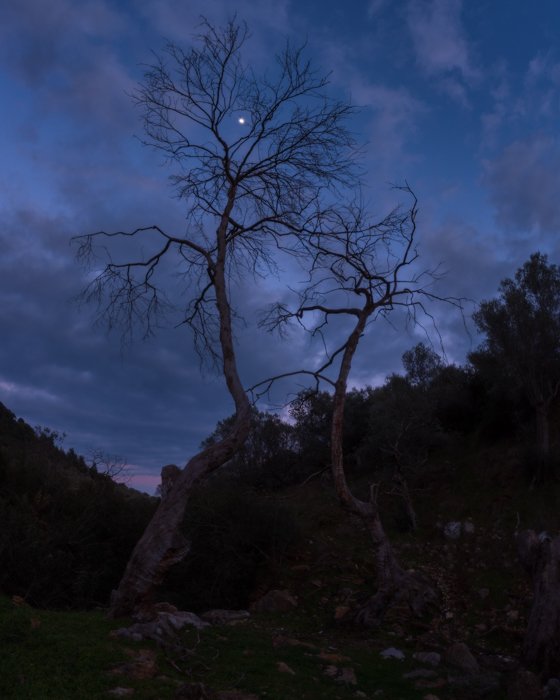 THP_2025_05_19_night_sky_thumbnails-12.jpg