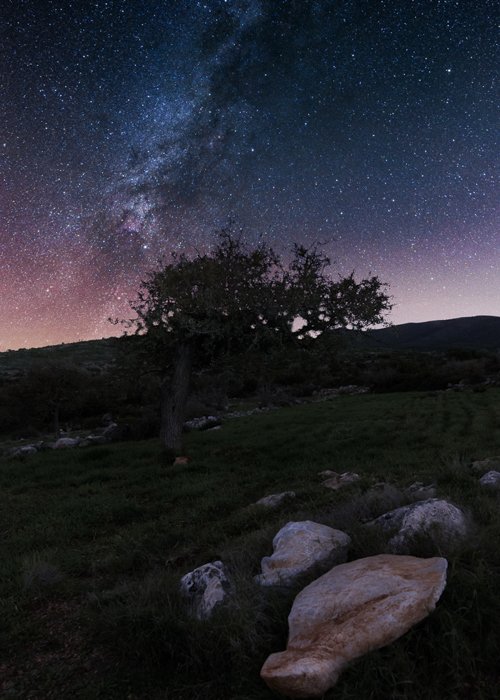THP_2025_05_19_night_sky_thumbnails-2.jpg