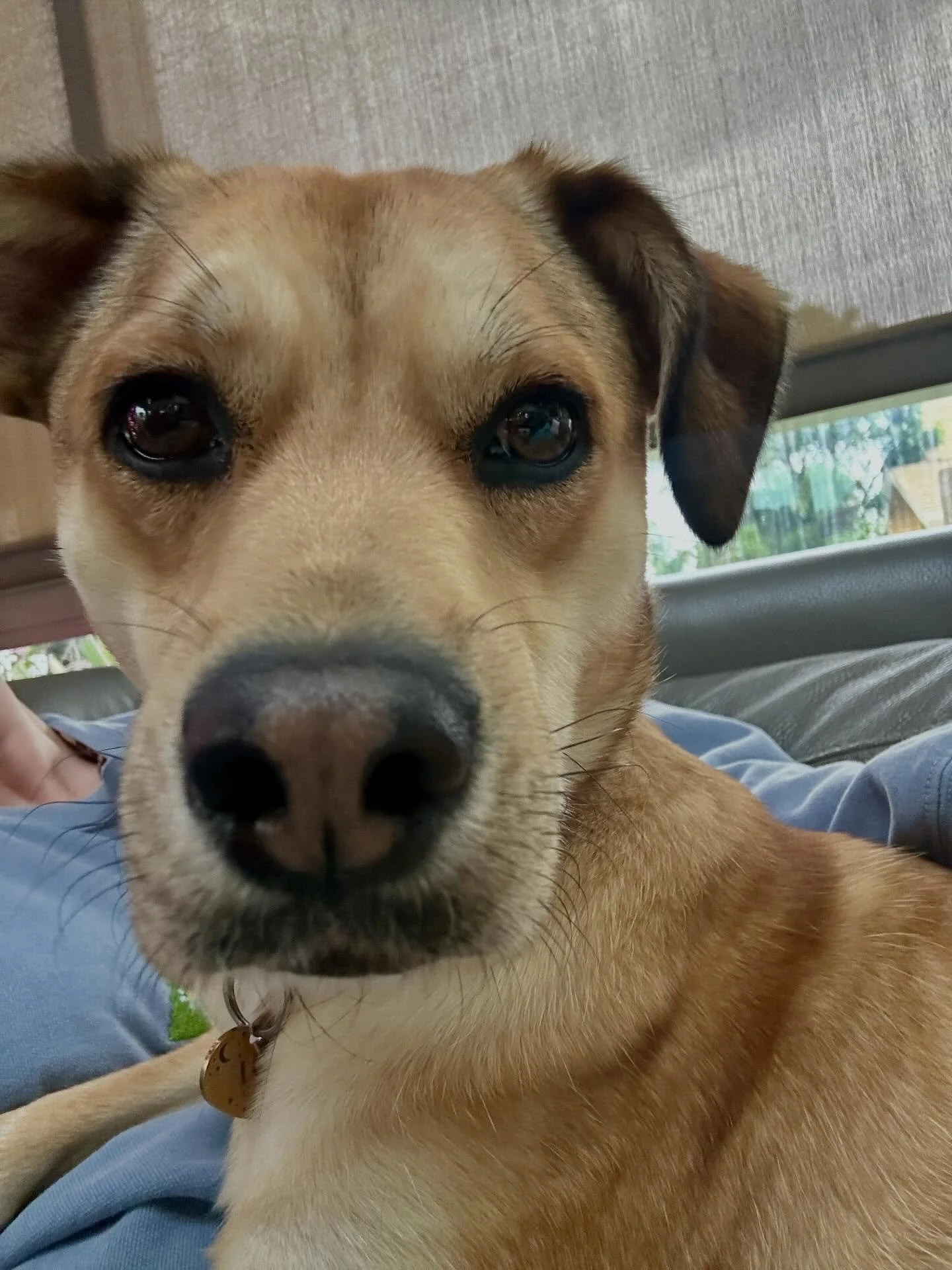 yahooooo for the holidays! now it&rsquo;s time to get back to it, my book comes out this year!!!! 👀