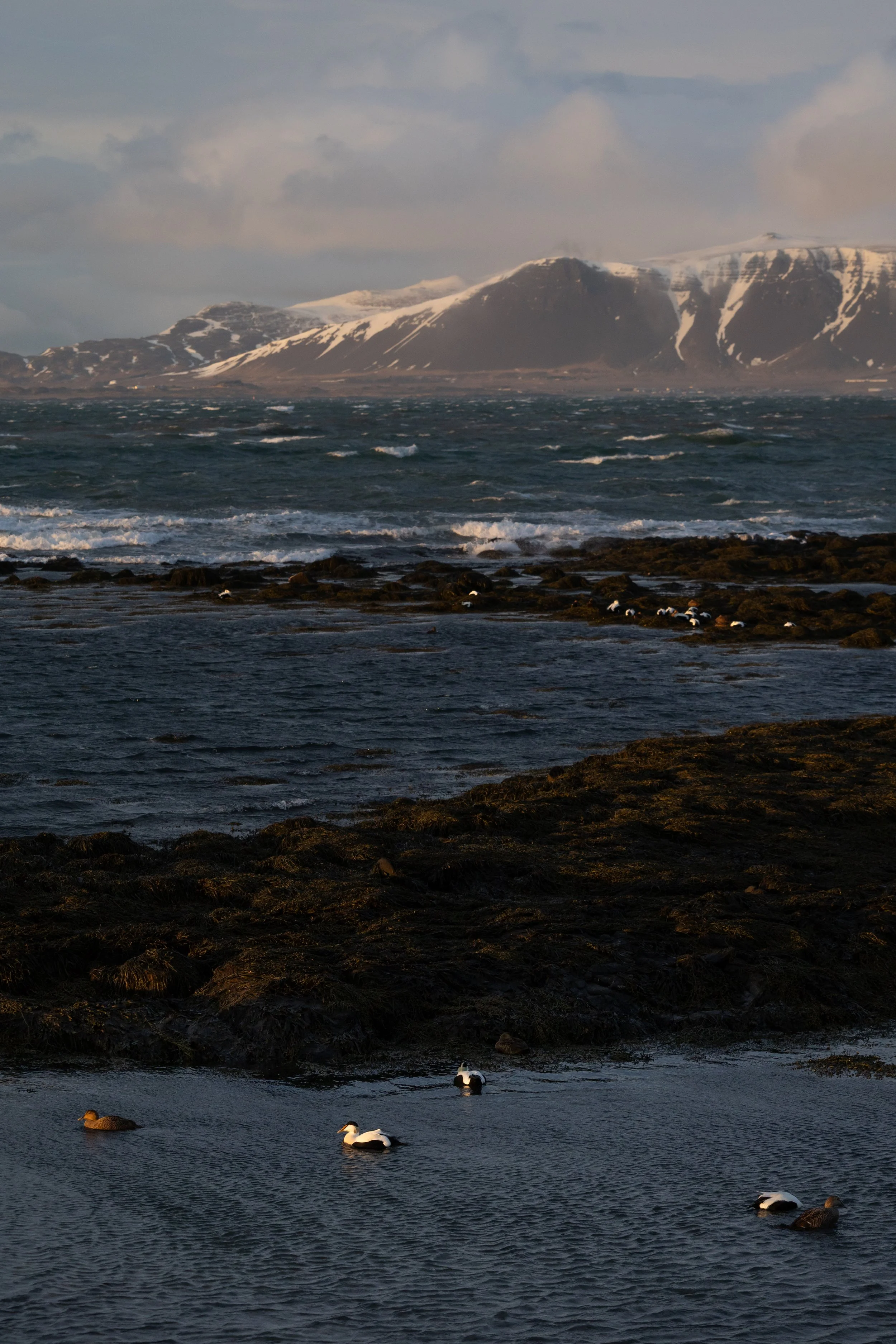 Iceland-76.jpg