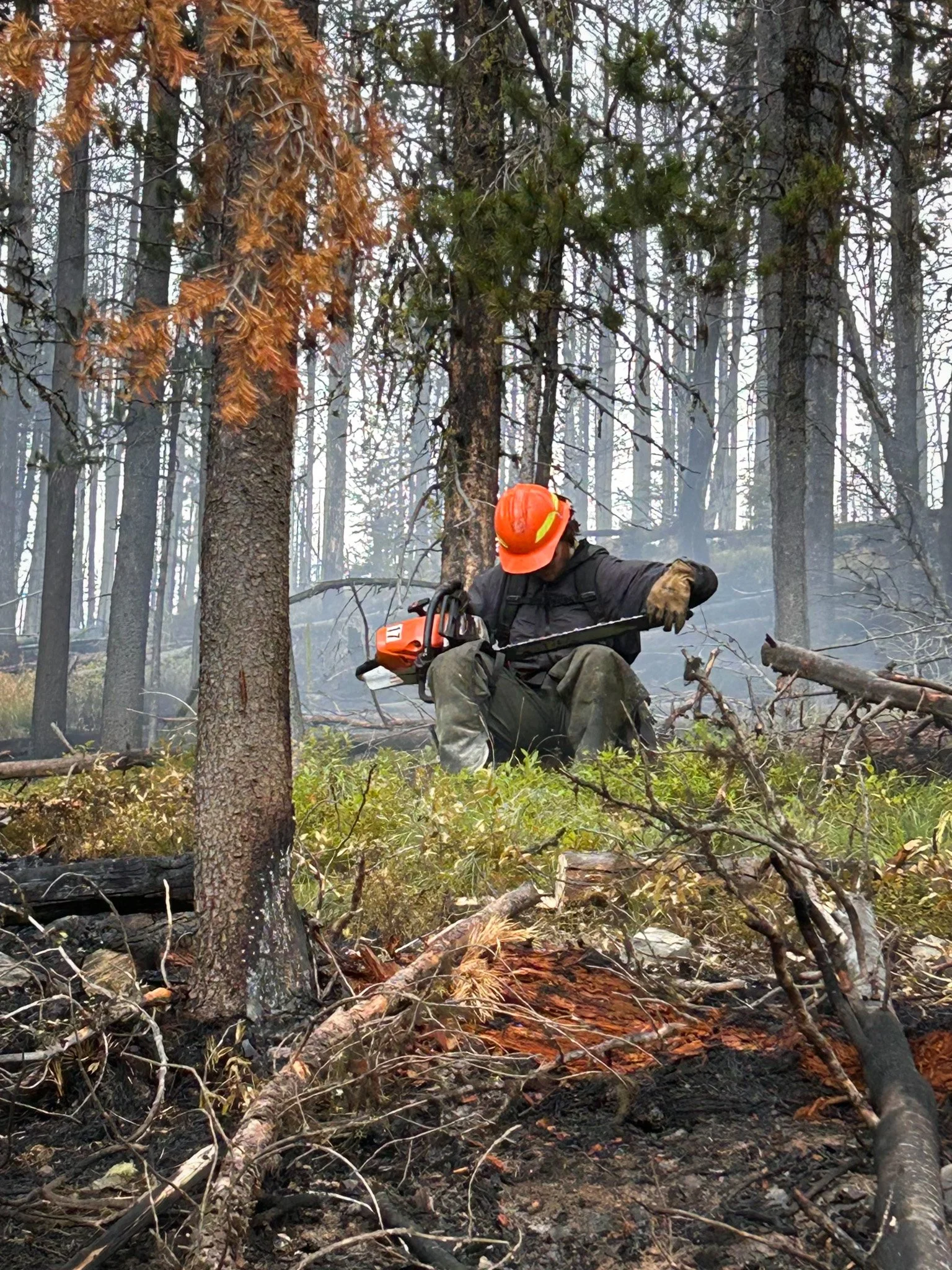 Photography of Louis Parsons