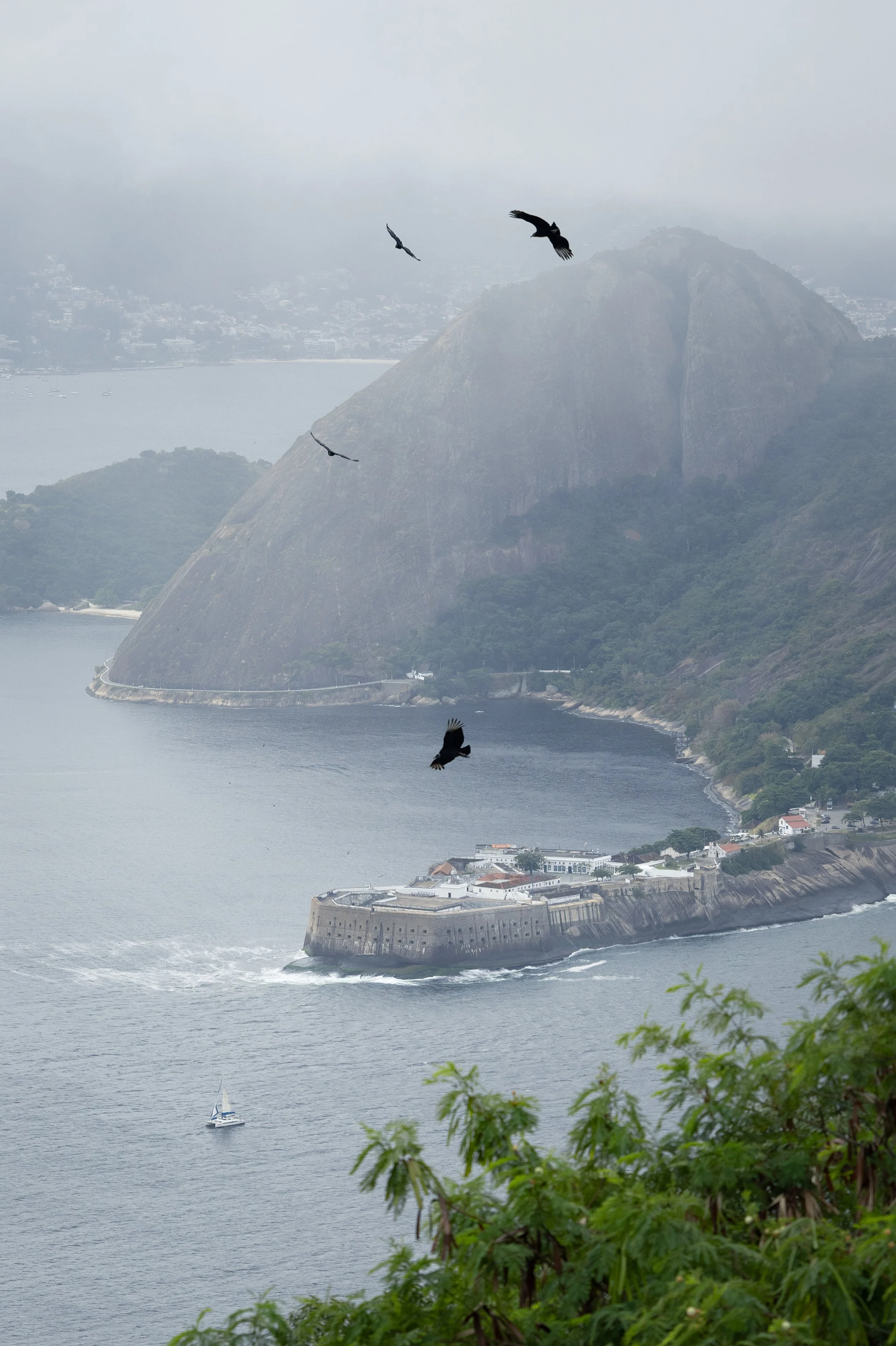 brazil-184.jpg