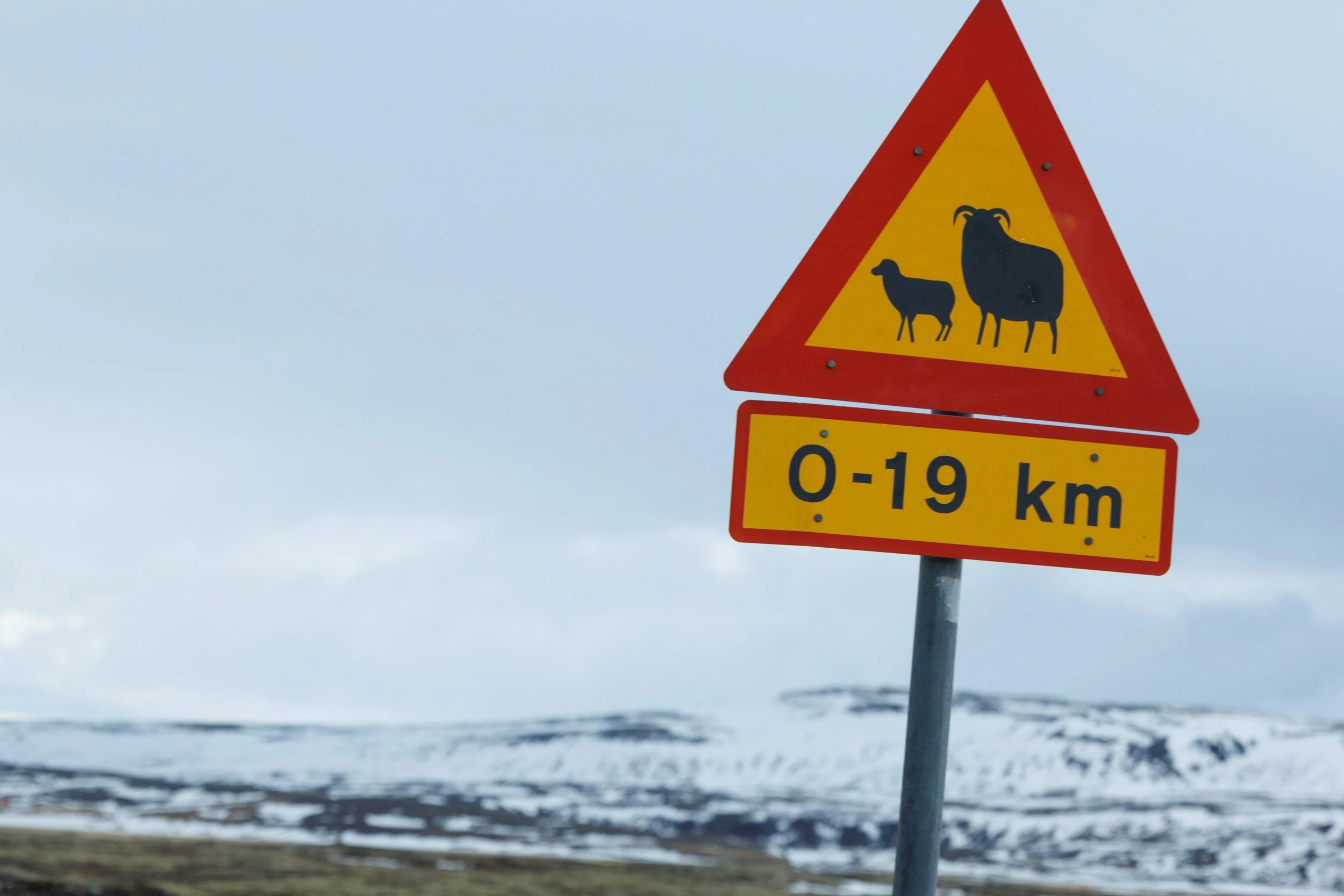 Iceland-132.jpg