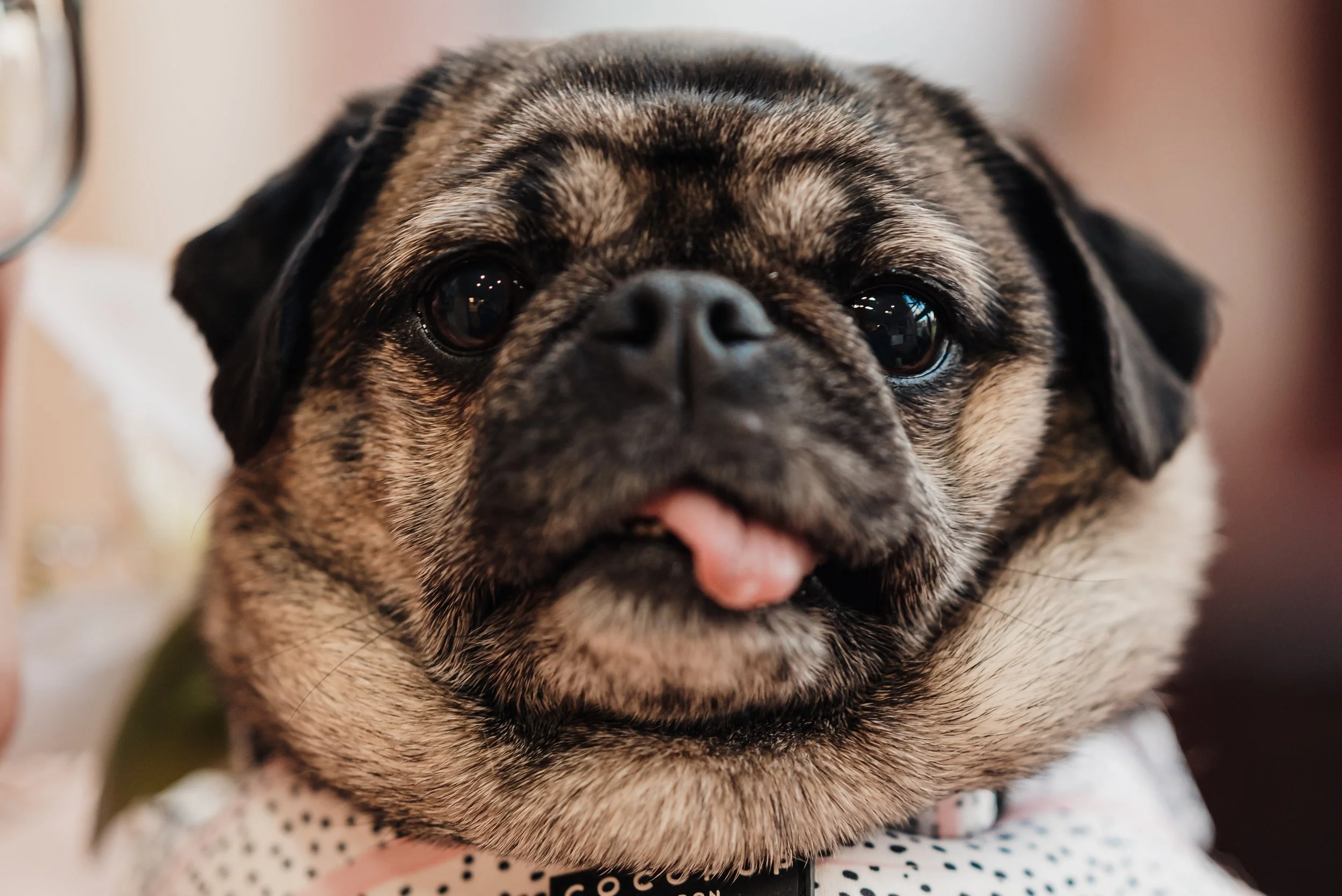 RhysMurrayPhototography-32.jpg