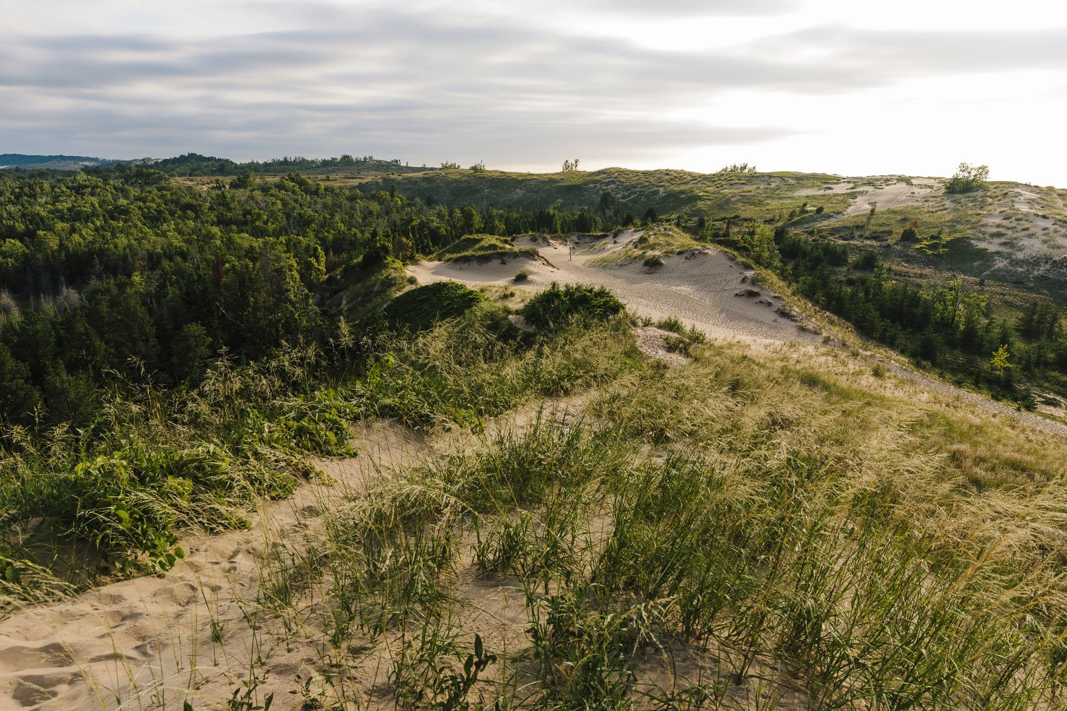 Hemispheres_TraverseCity_18.jpg