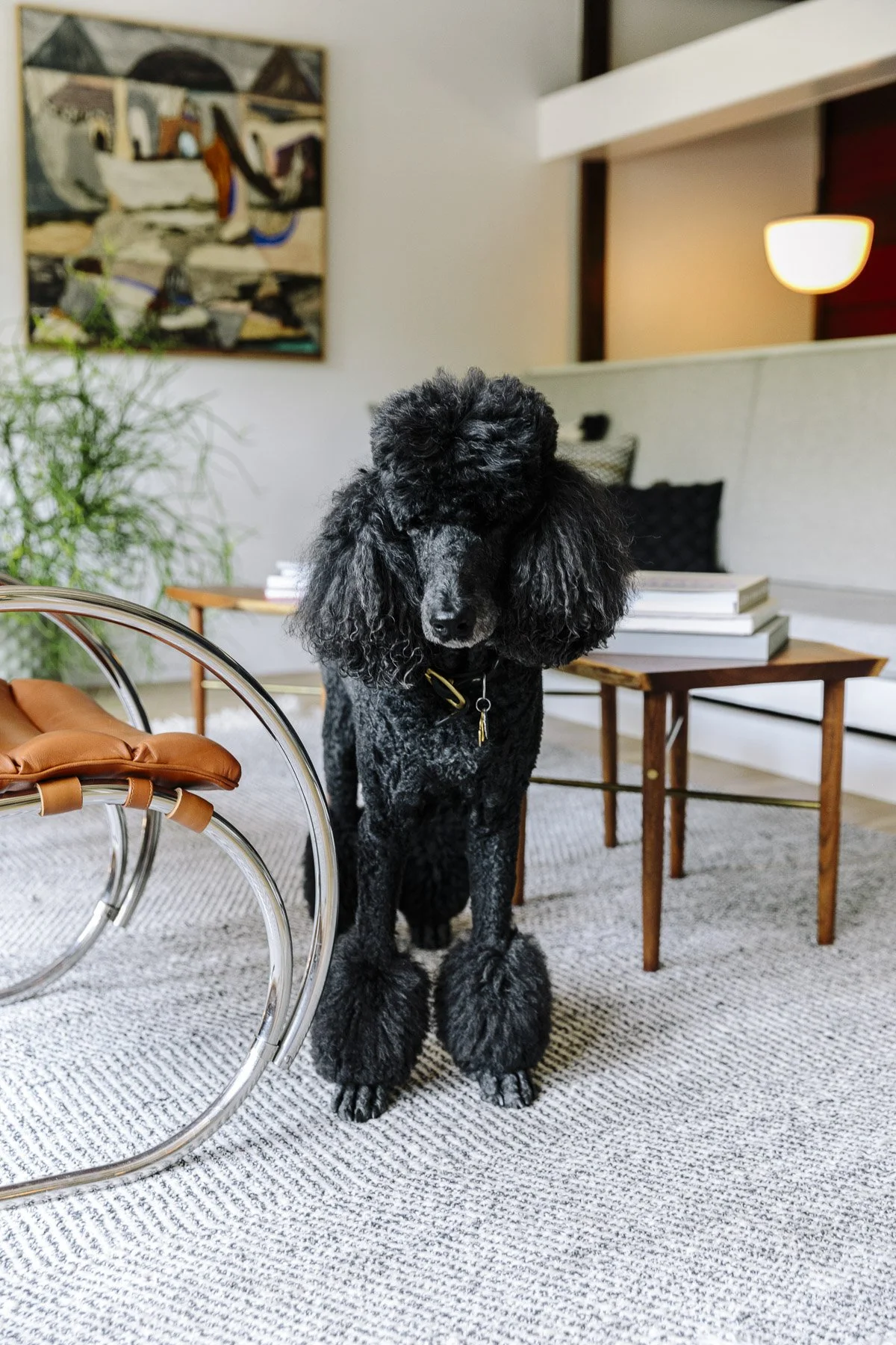 dwell_louisville_7.jpg