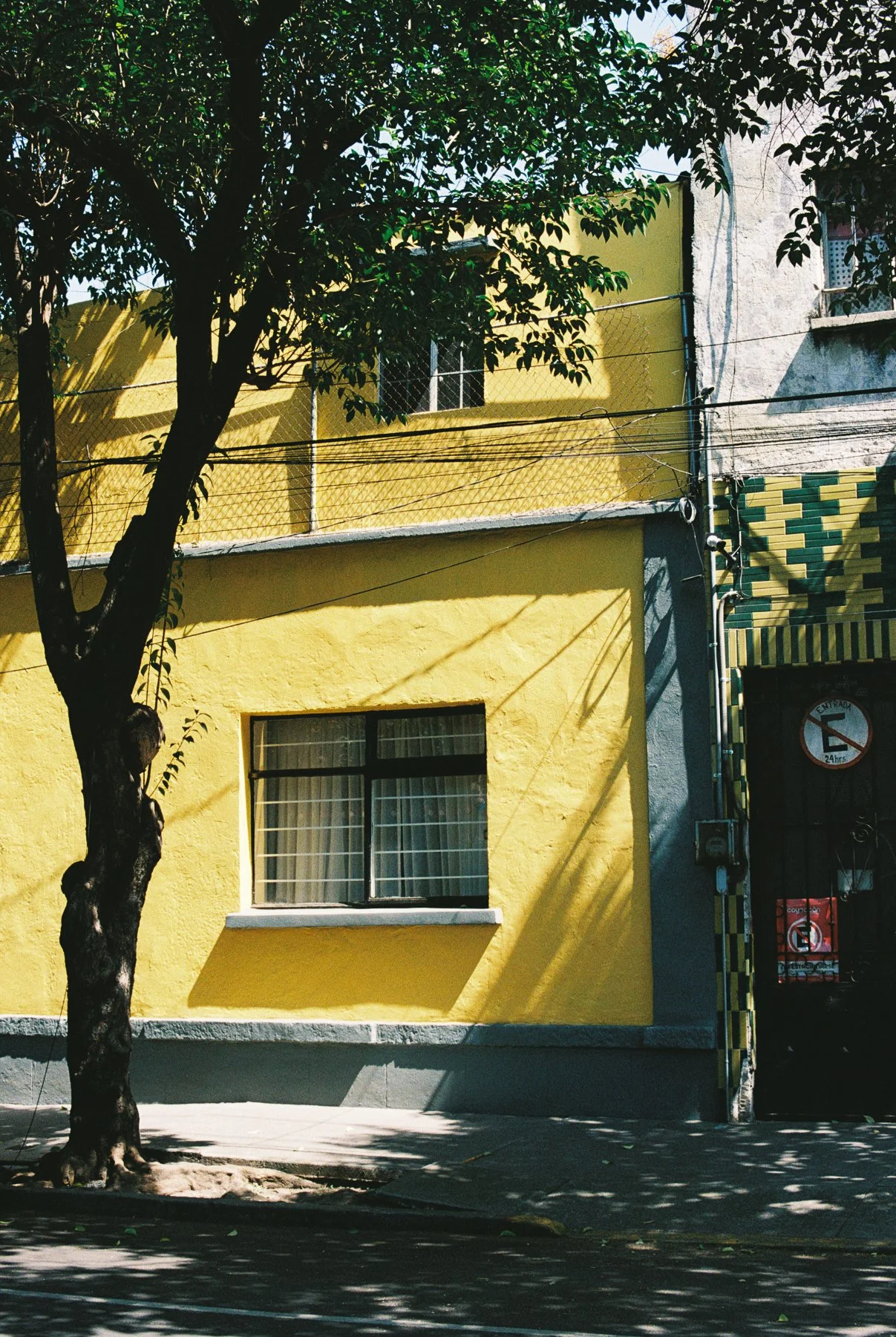 LucyHewett_ChicagoPhotographer_MEXICOCITY-206.jpg