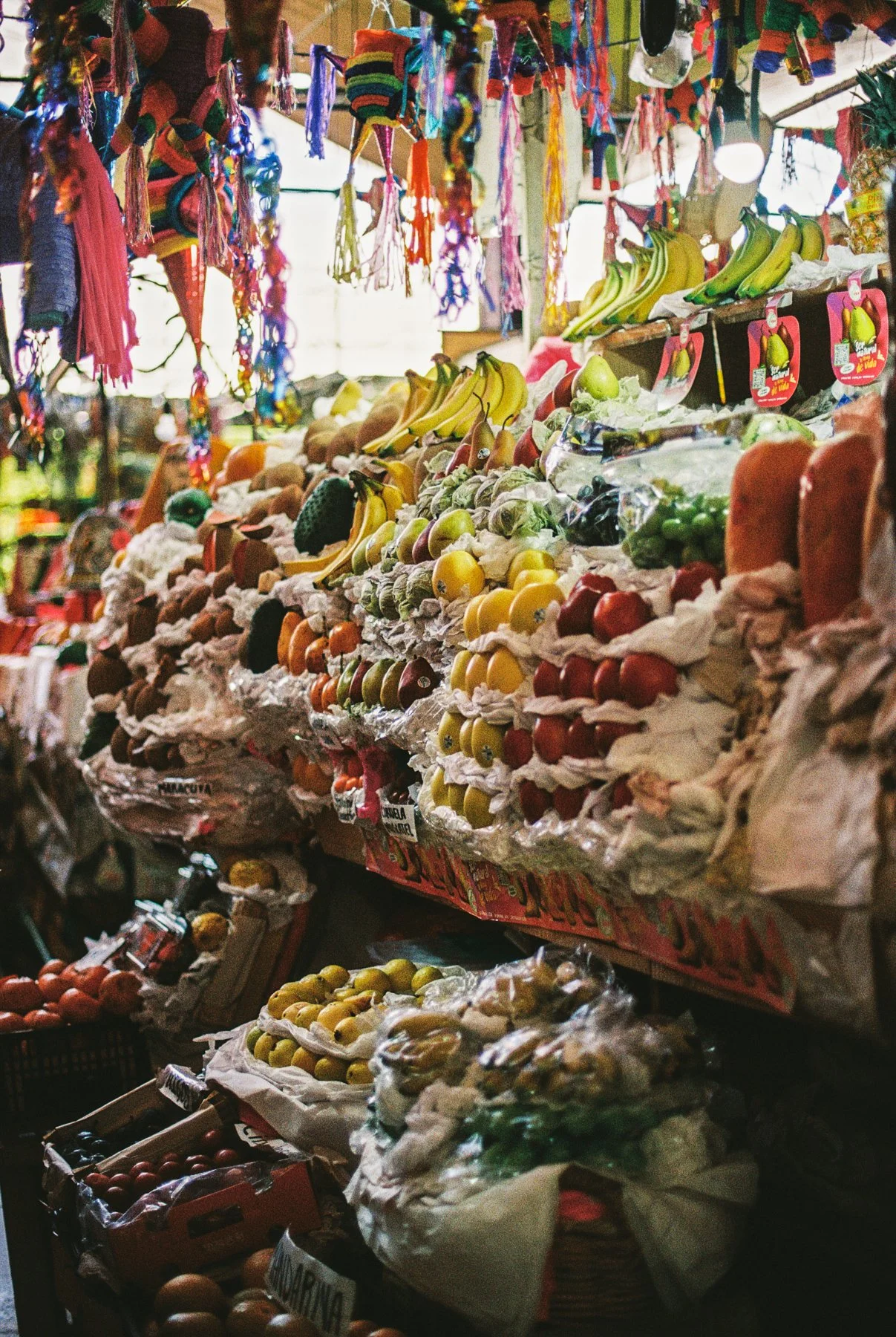 LucyHewett_ChicagoPhotographer_MEXICOCITY-215.jpg