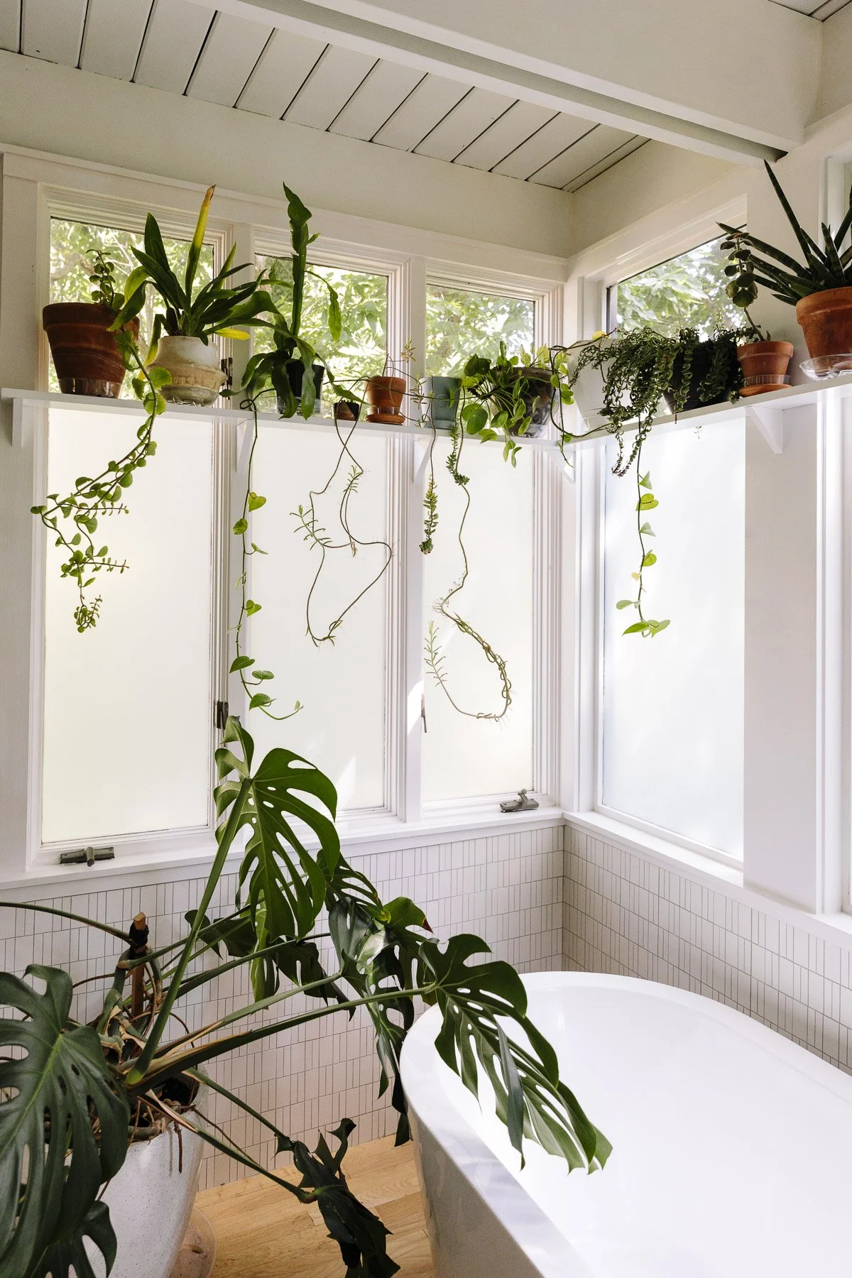 dwell_louisville2_3.jpg