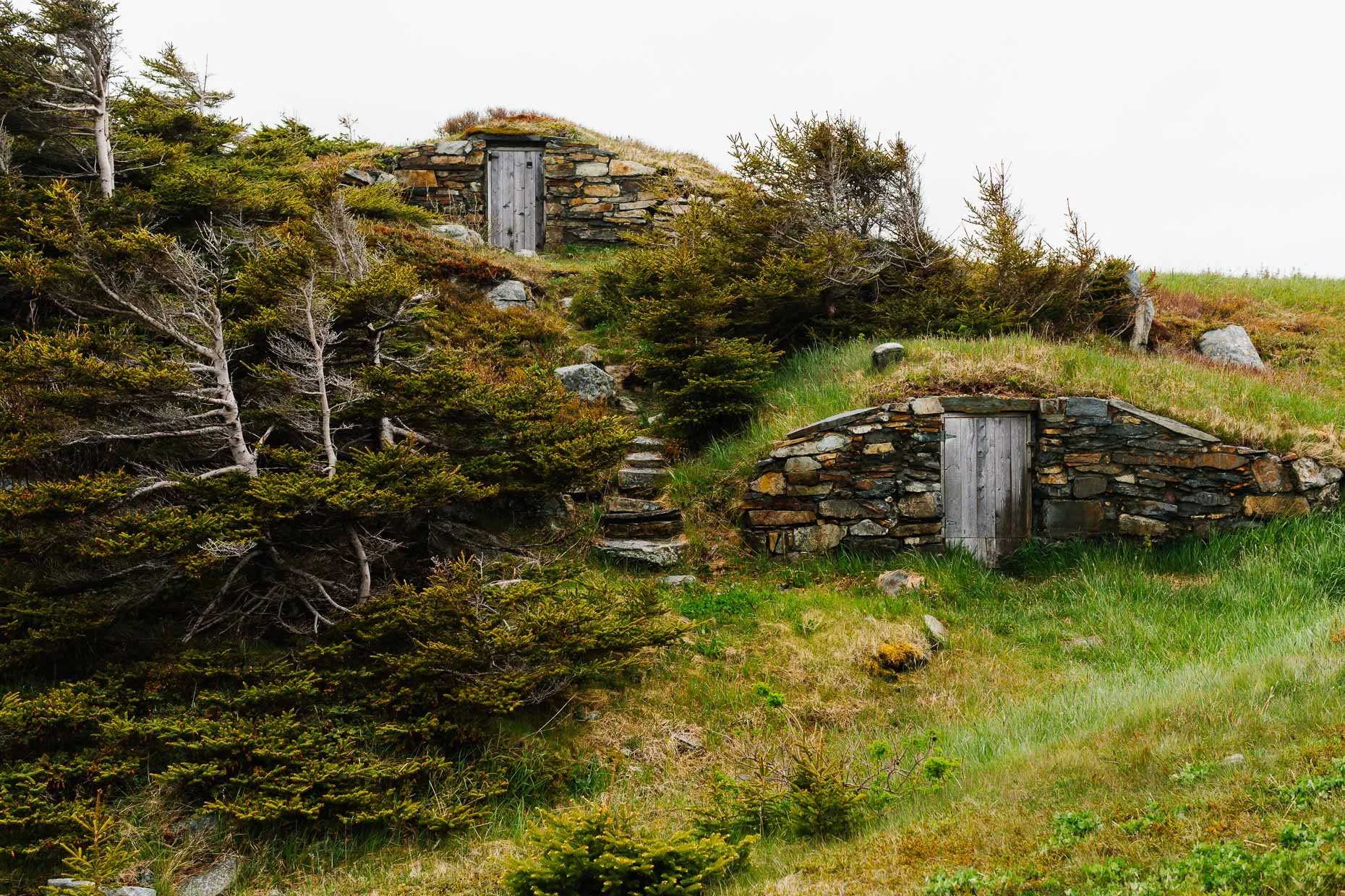 233lucyhewett_lonelyplanet_newfoundland-.jpg