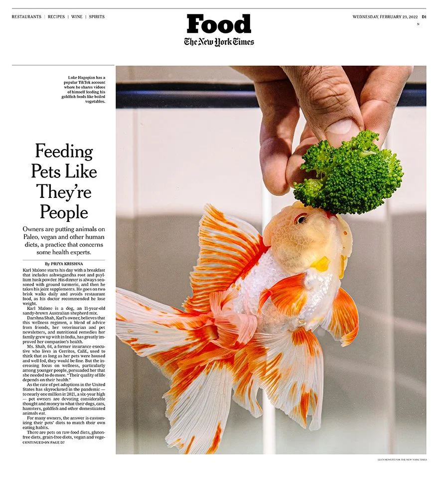NYT_FOOD_COVER.jpg