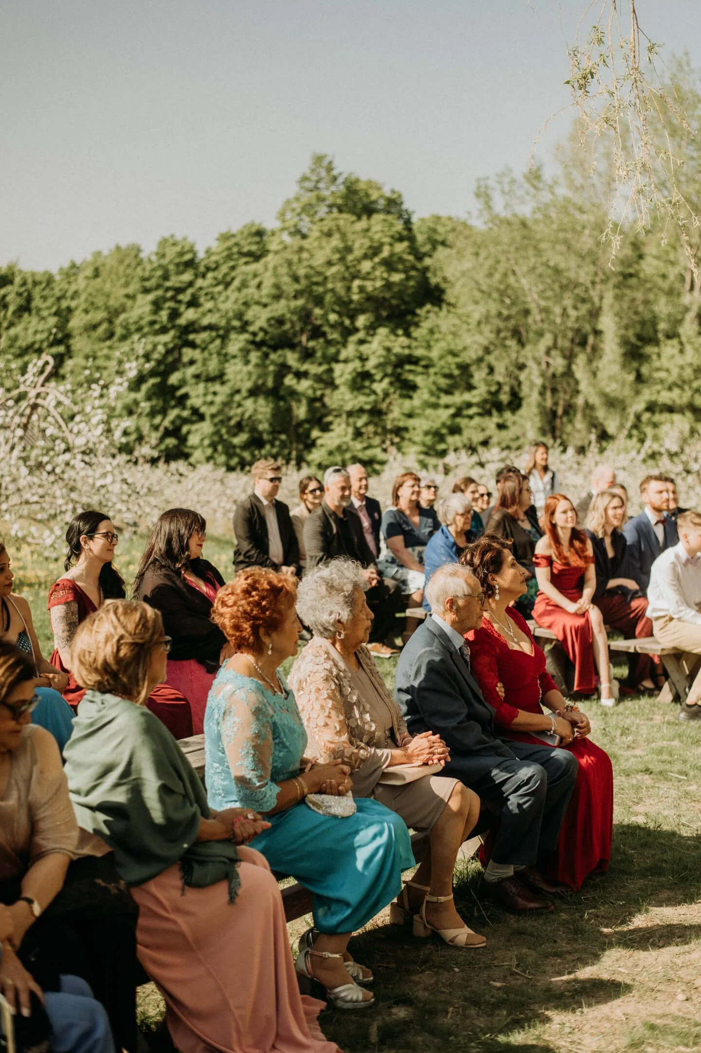 Ceremonie-verger-flanc-nord-symbolique-champetre 11.jpg