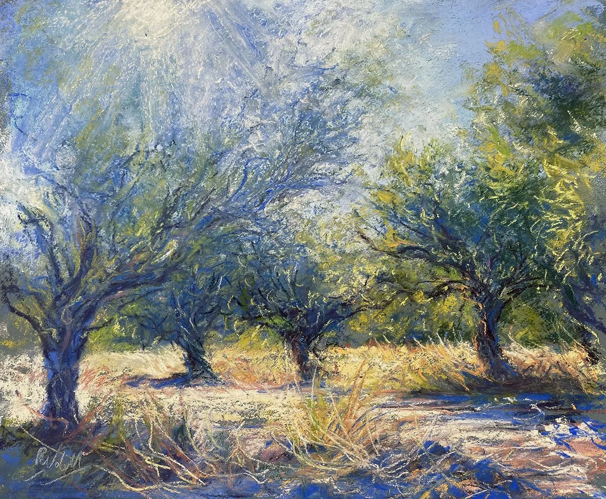 Light Sketch Olive Grove 1 web.JPG