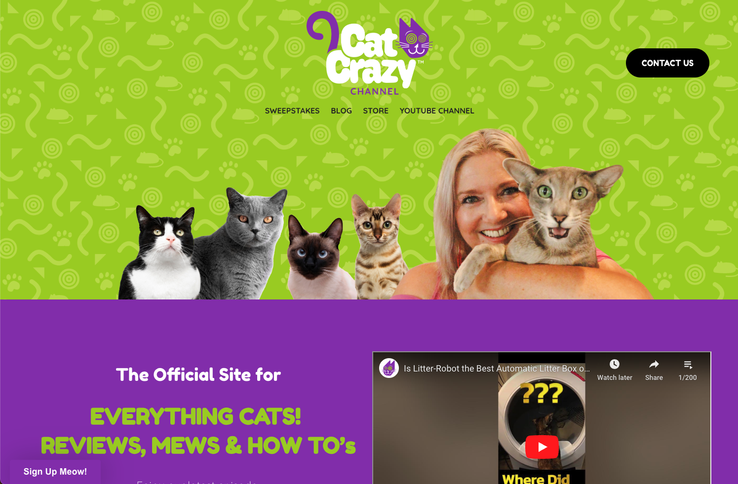 CatCrazy Channel
