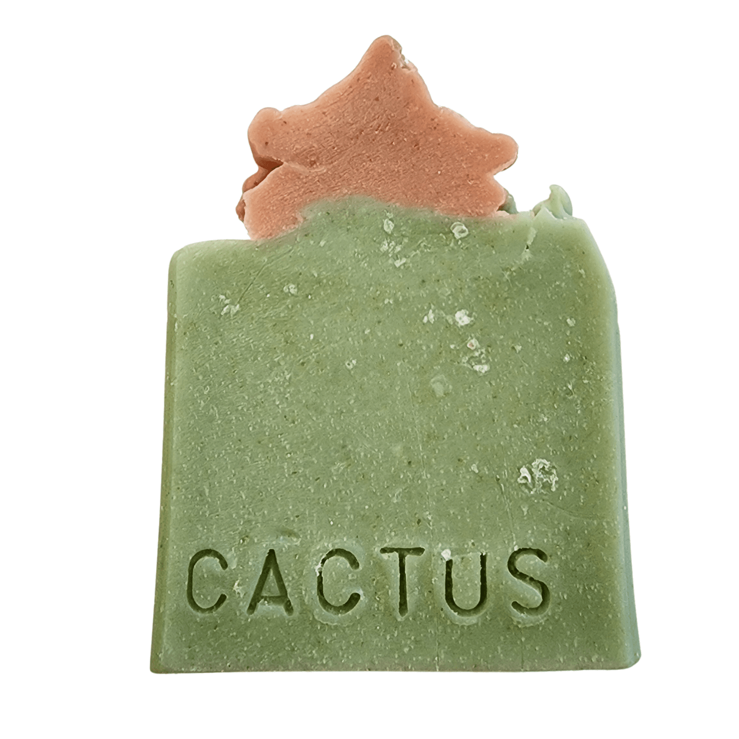 consuela the cactus Dezi Midtown Crossbody – Consuela main image 1