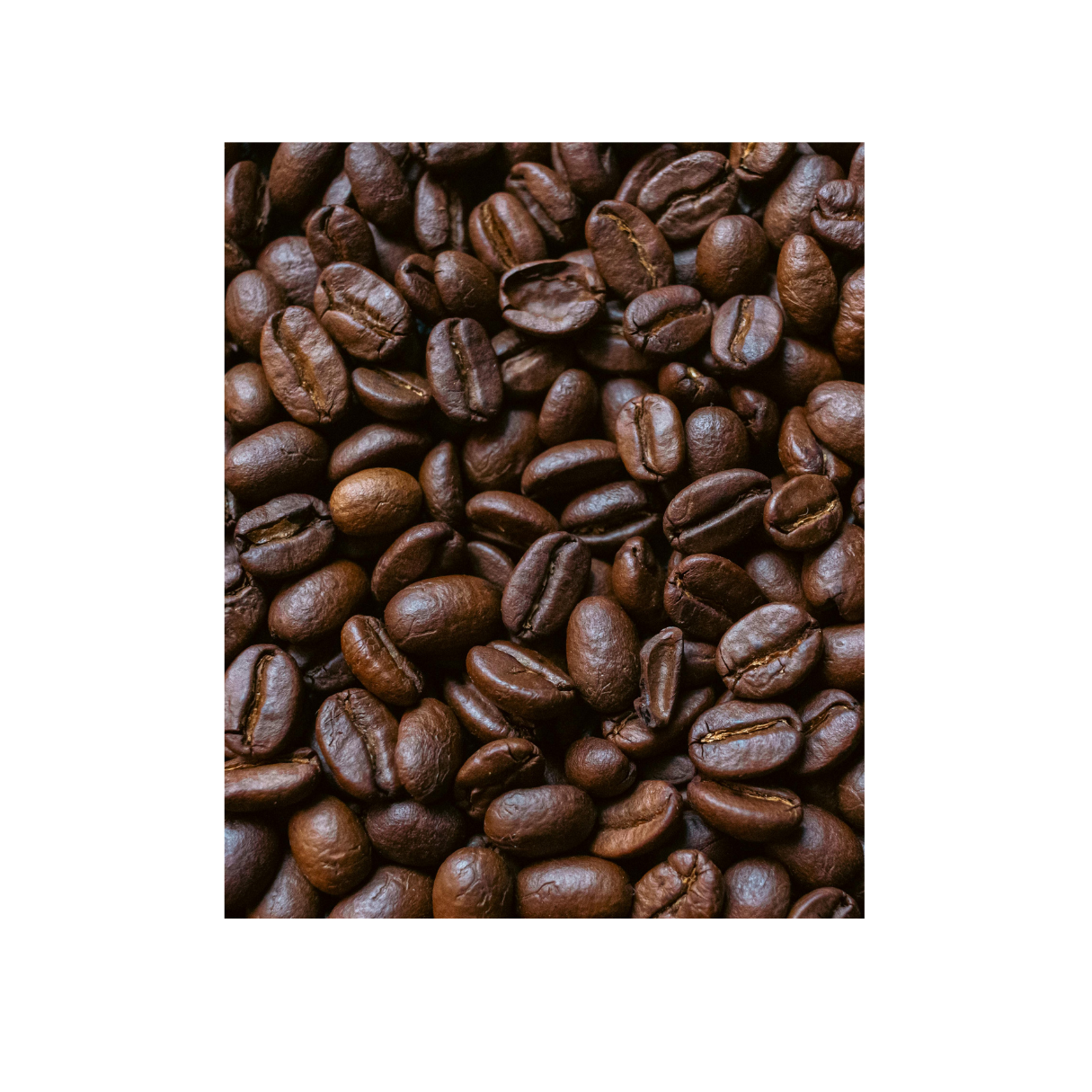 coffee beans.png