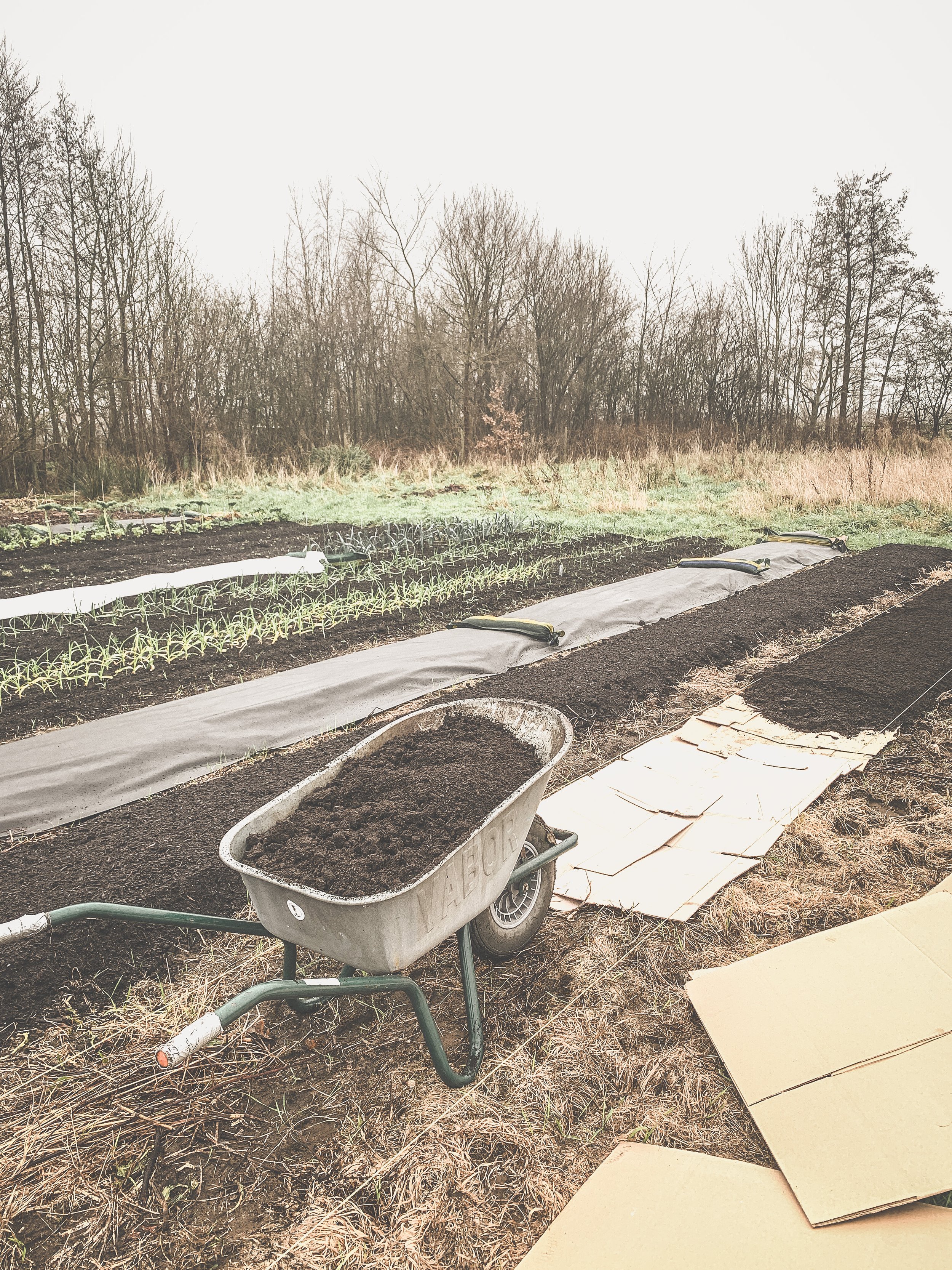 Landbouw Brigades | Meewerk moment