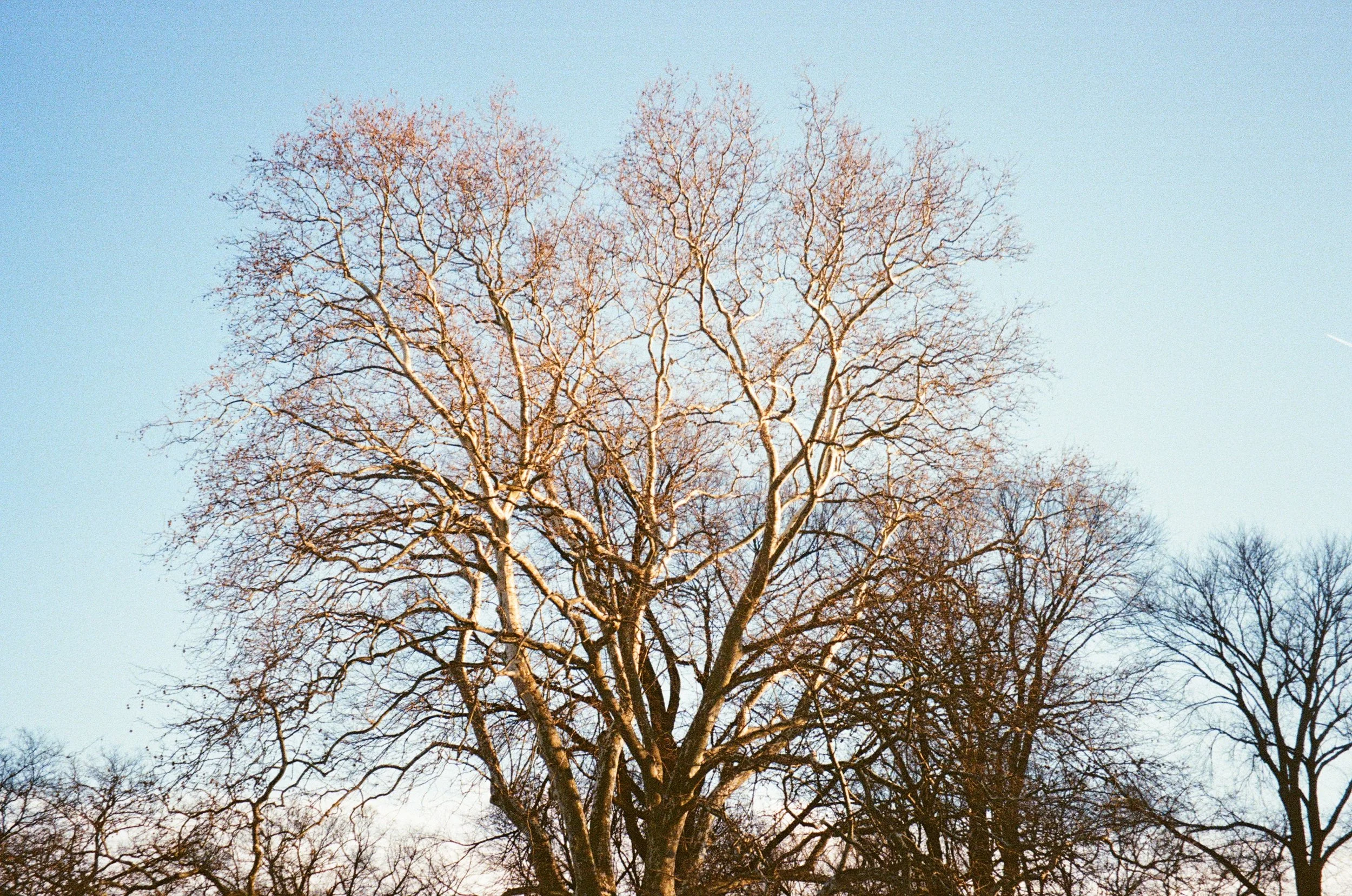 000130200020.jpg