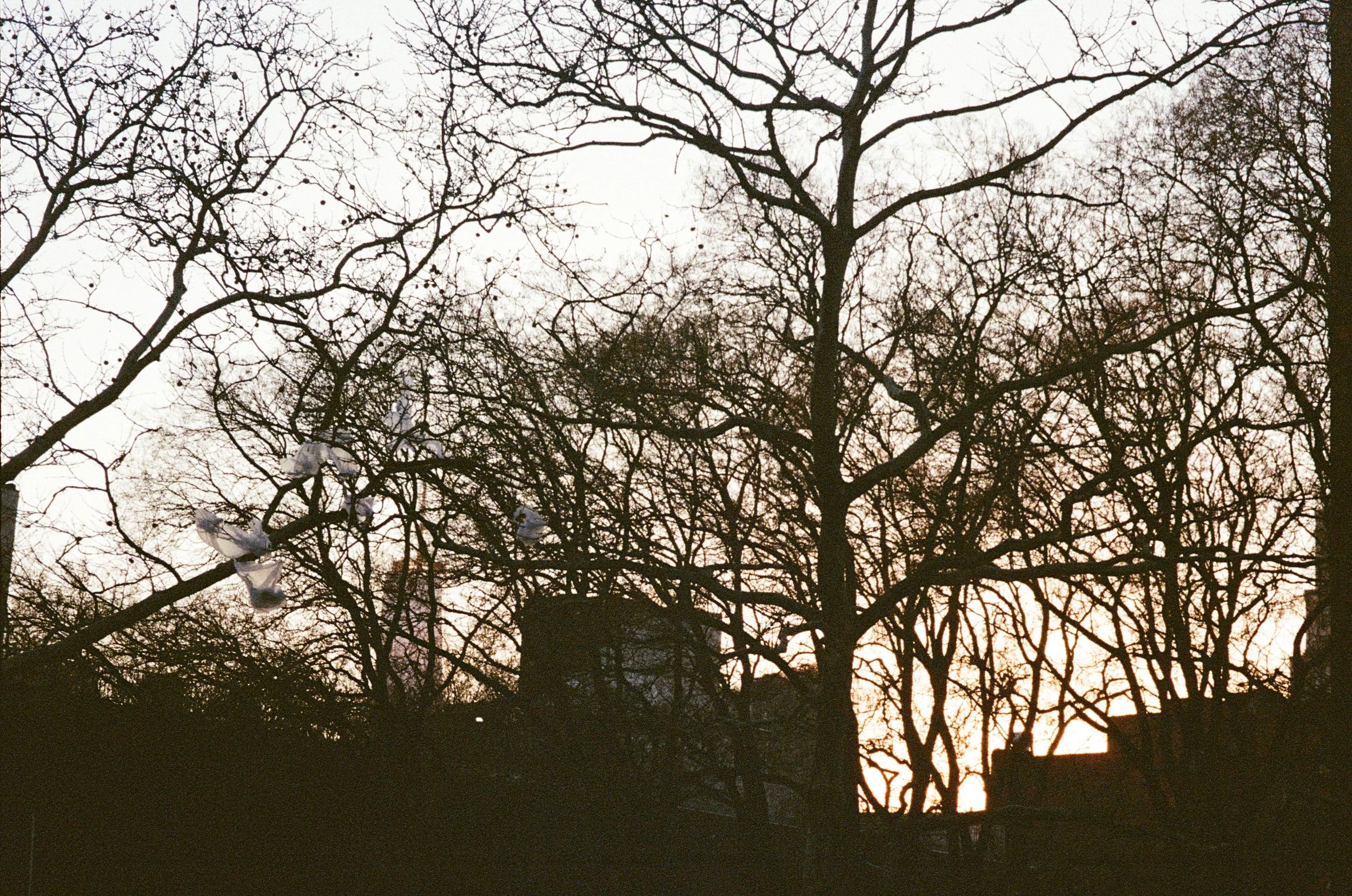 000130200022.jpg