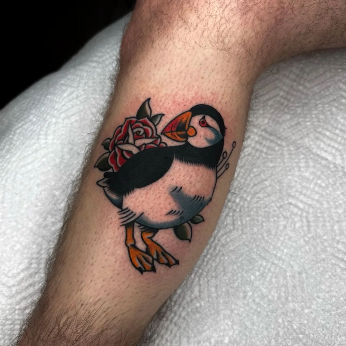 Puffin for Ryley! First one of 2026. 🌞
.
.
.
#georgiatattooartist #romega #atlantatattooartist #downtownromega #puffintattoo