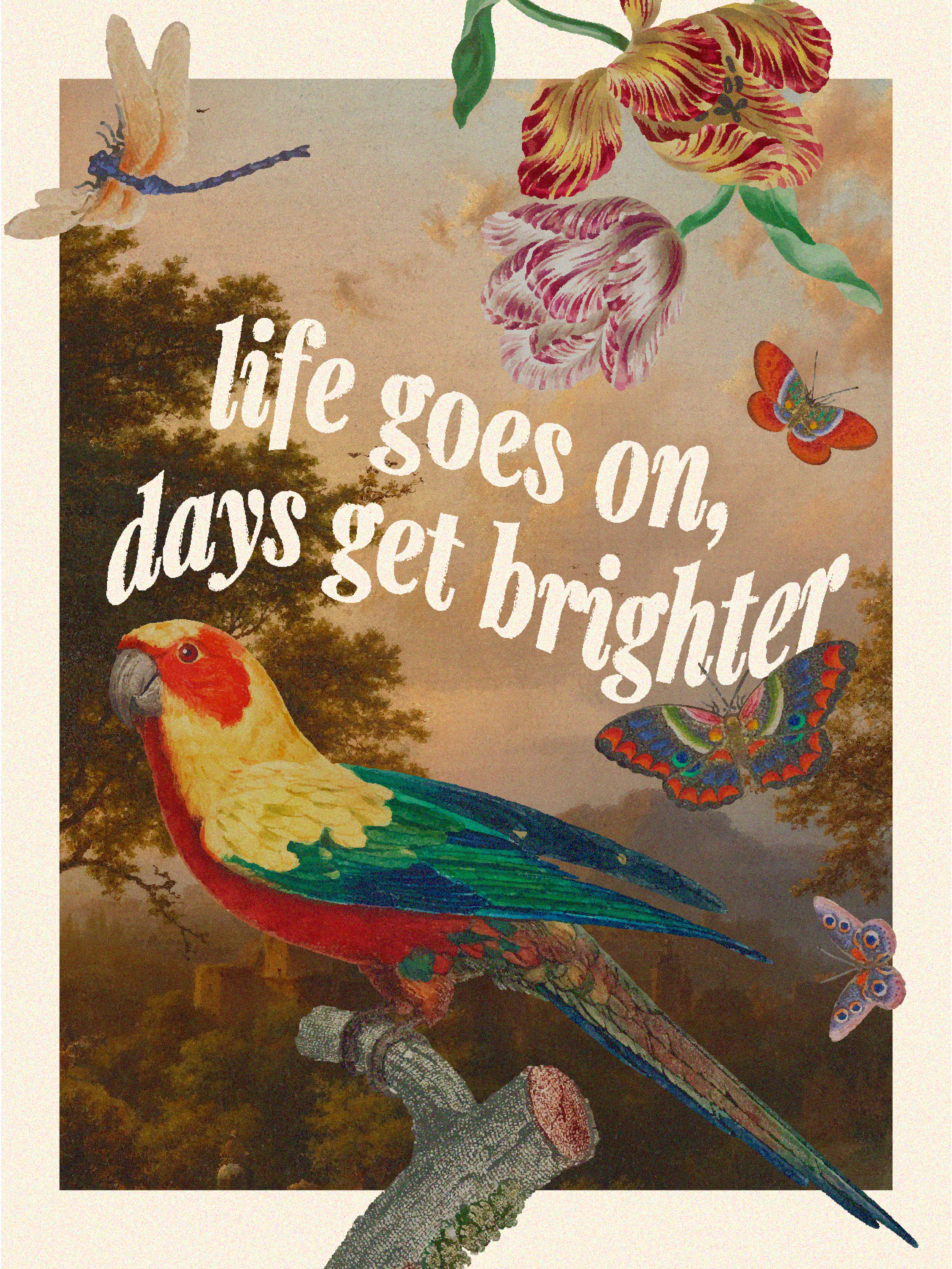 mac_posters-03.png