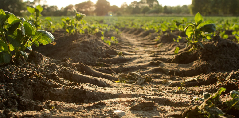 Van bodemdata naar bewustwording