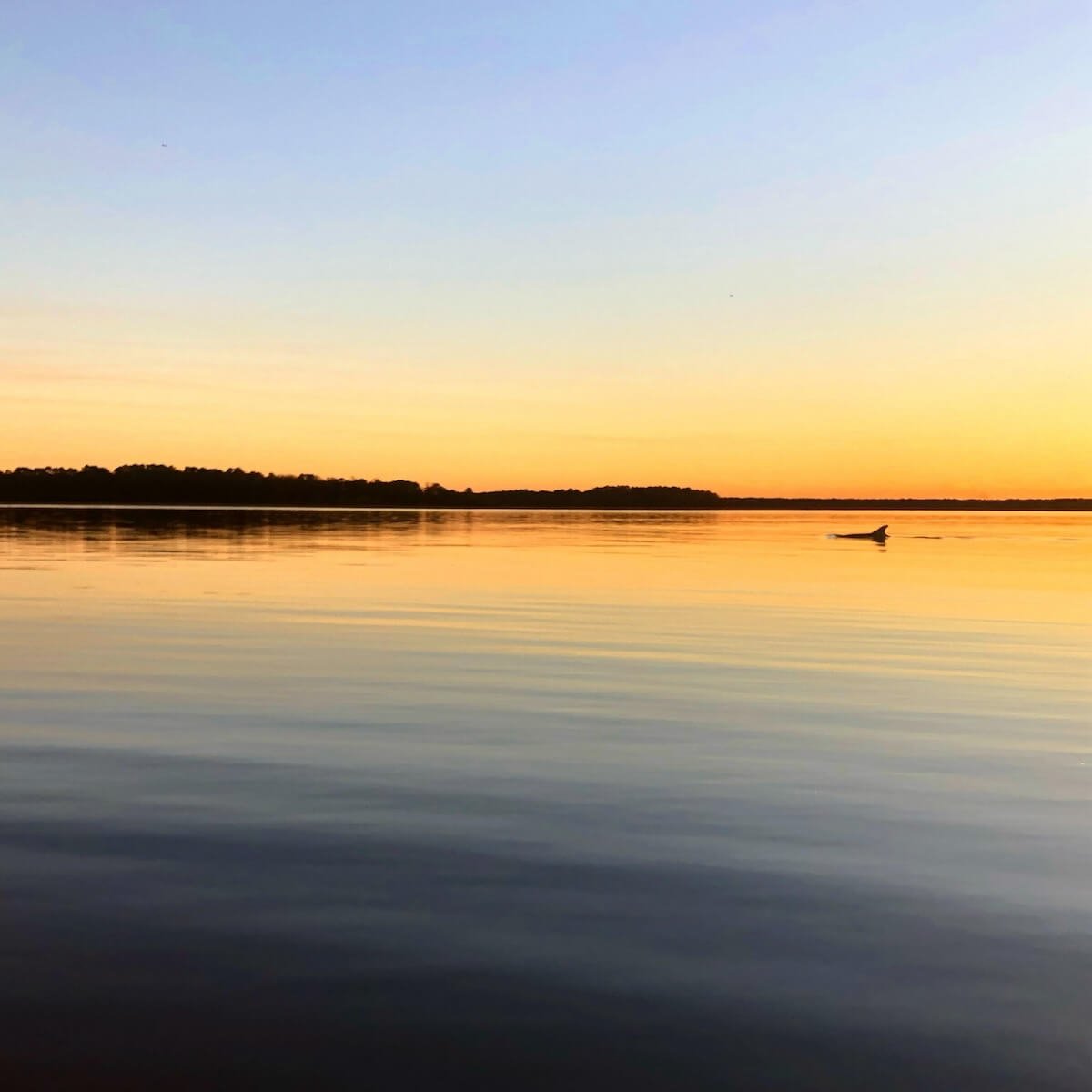 Colors of sunset in the lowcountry