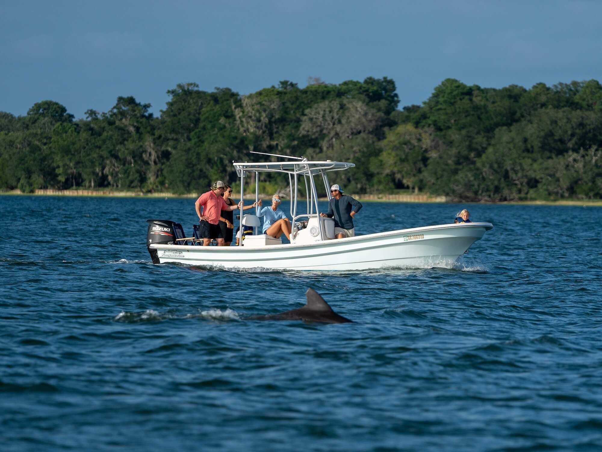 Dolphin Watching Boat Tour