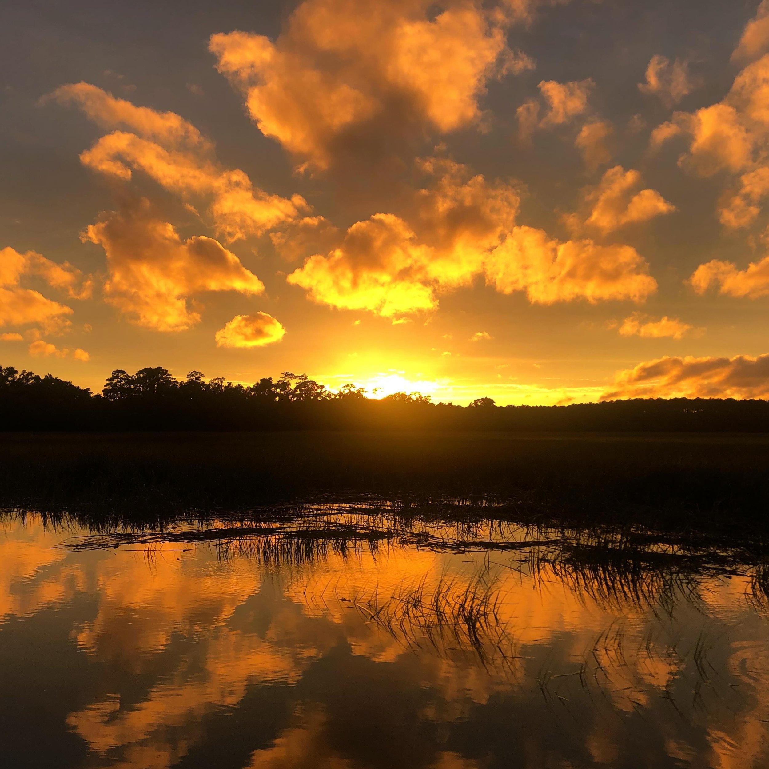 There is just something about watching the sunset on the water 😍 

While there isn&rsquo;t a specific time that&rsquo;s better to see dolphins or other wildlife, our sunset tours are usually the best time to see Mother Nature really show off her col