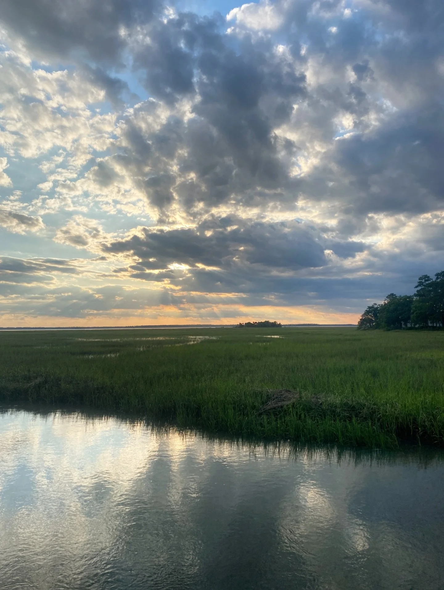 It might be cold and rainy today but have y&rsquo;all seen the weekend prediction? Things change fast here! 

#beaufortsc #luvbft #beaufortboattours