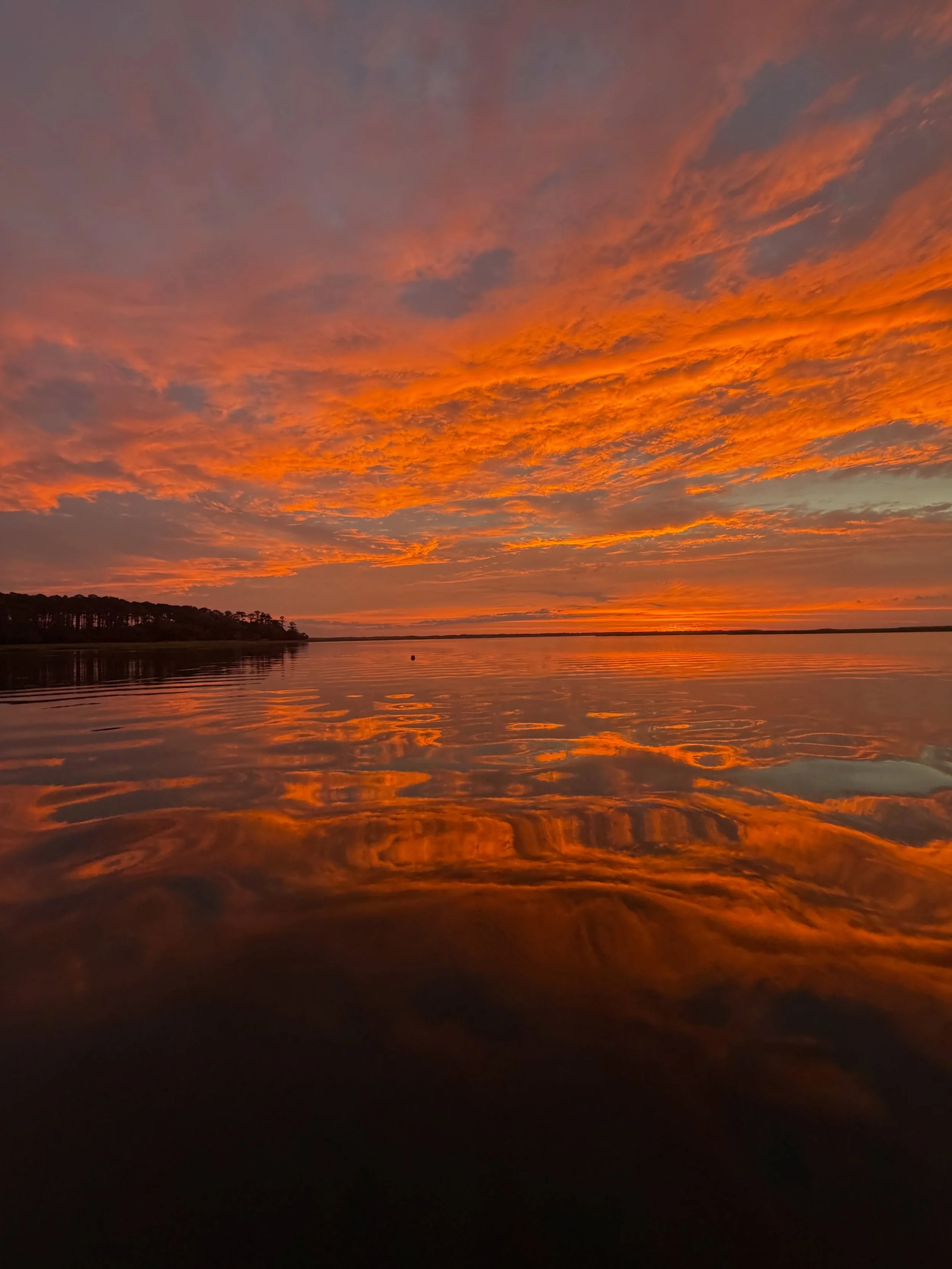 Good morning beautiful Beaufort😍

#luvbft #sunrise #beaufortdolphinadventures