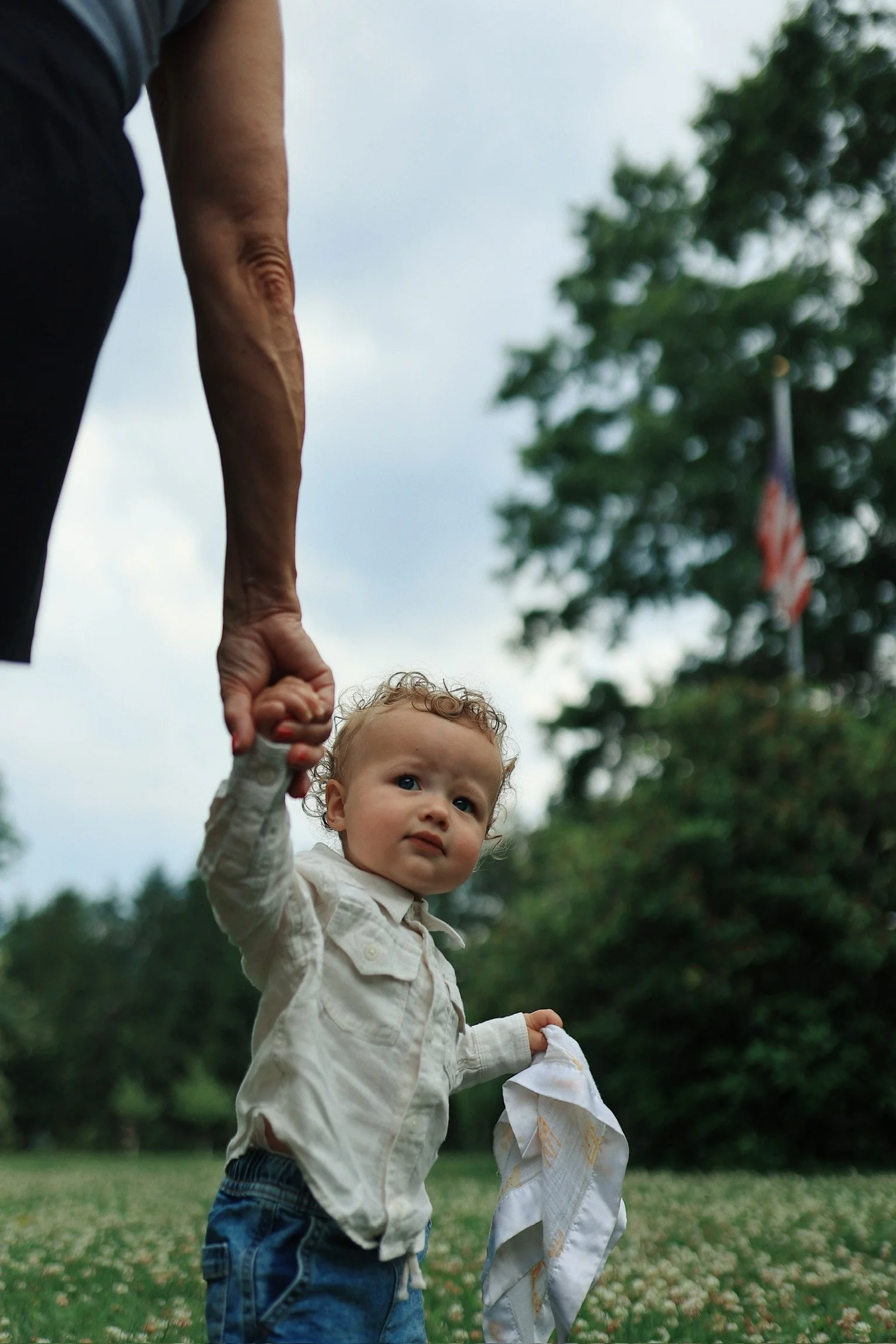 A young child with curly hair holding an adult's hand outdoors in a grassy park with trees and an American flag in the background.